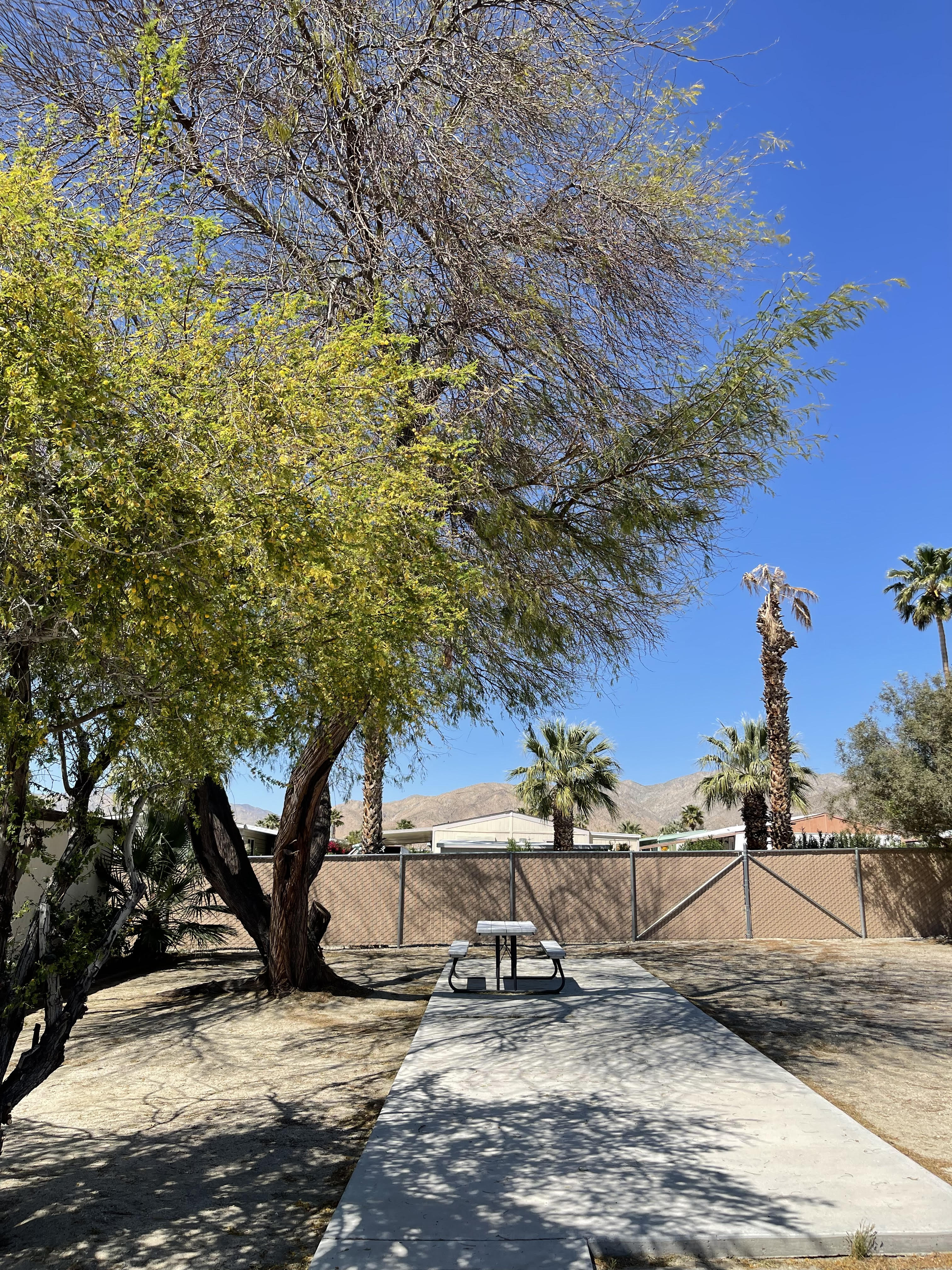 Desert View Mobile Home Club, Desert Hot Springs, California