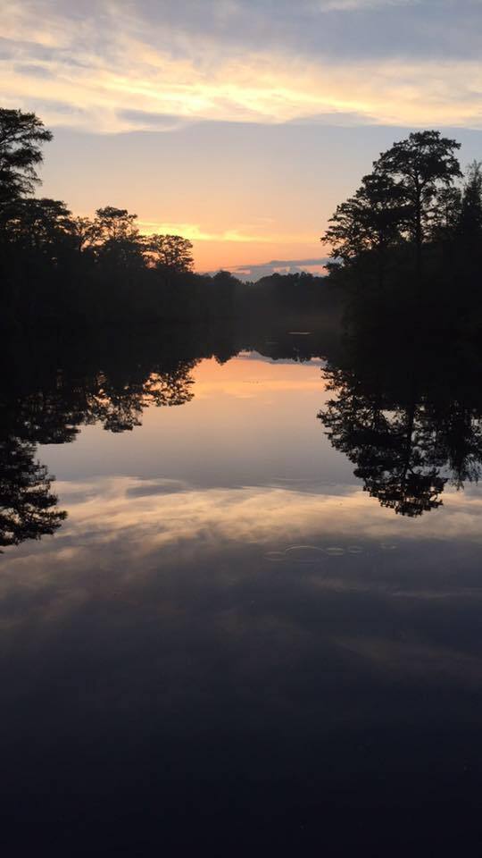 Tranter's Creek Resort & Campground