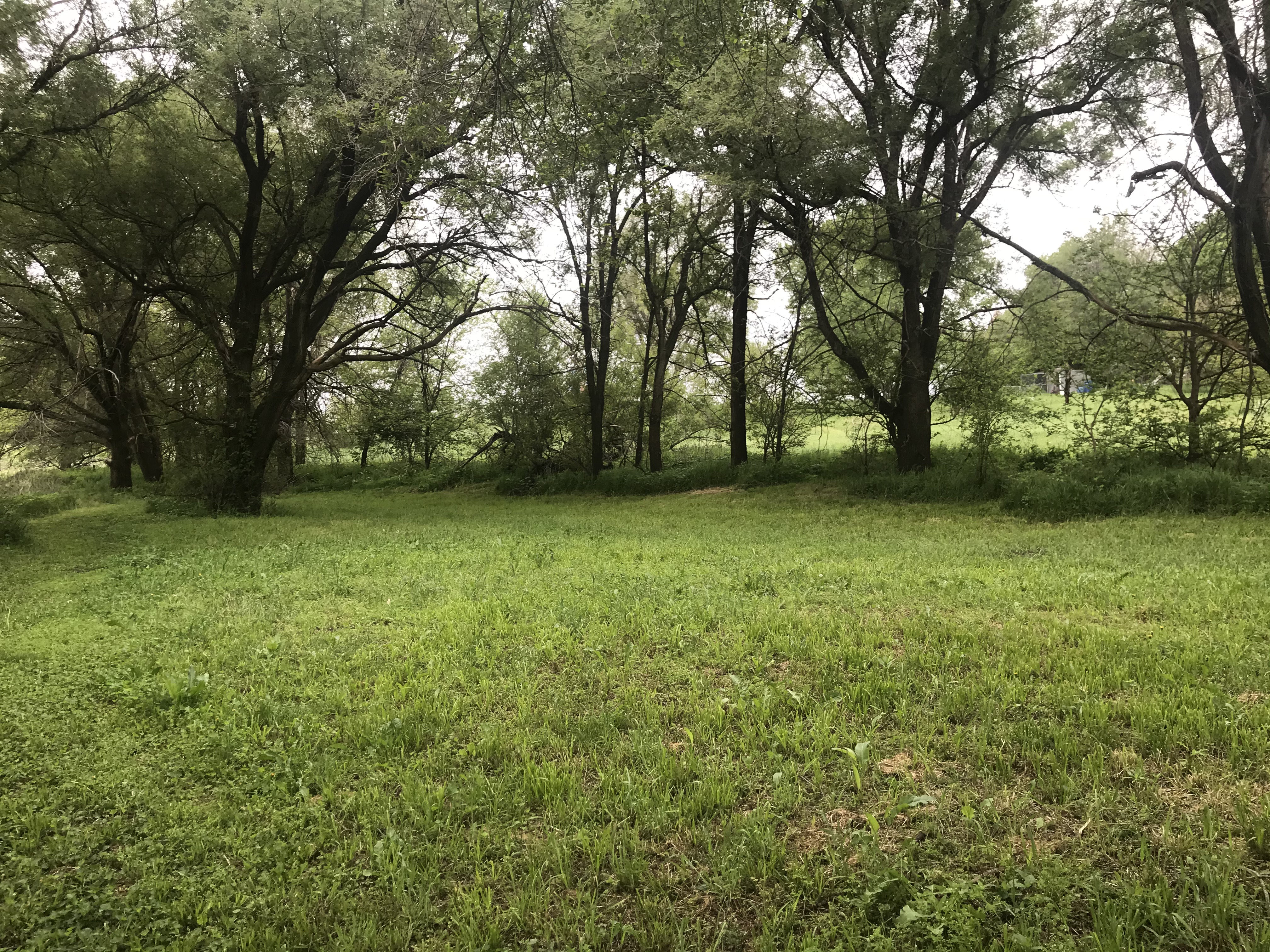 Cottonwood Grove RV Campground, Hesston, Kansas