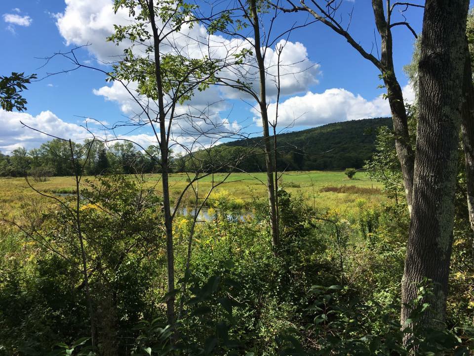 Crazy Acres Campground, Davenport, New York