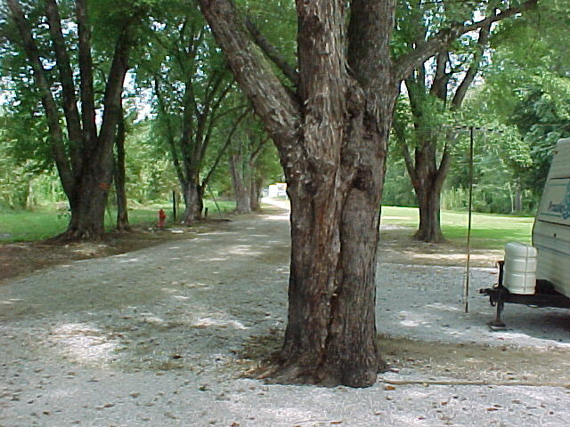 Riverbreeze Campground