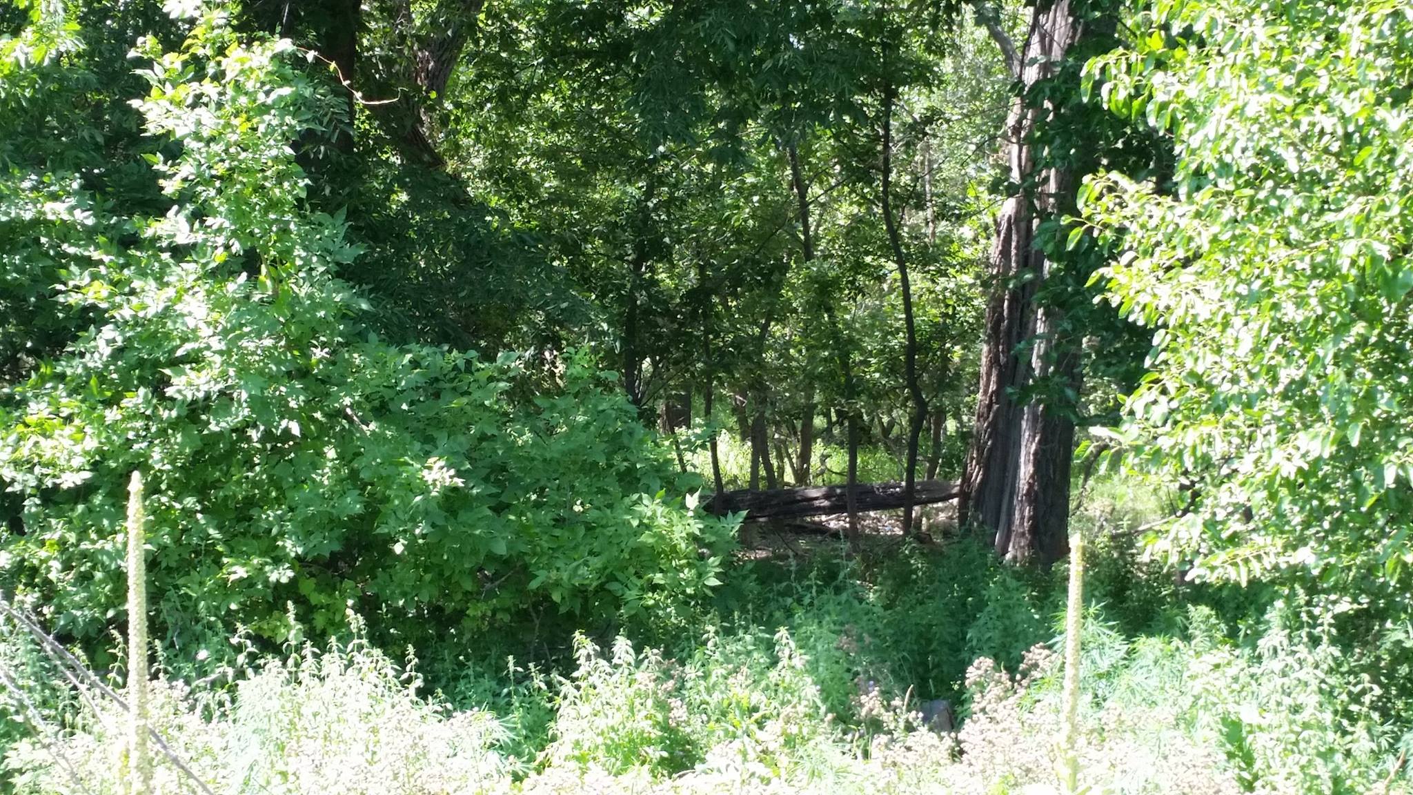 Blue Heron Campground