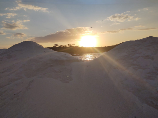 The Shores of Asbury