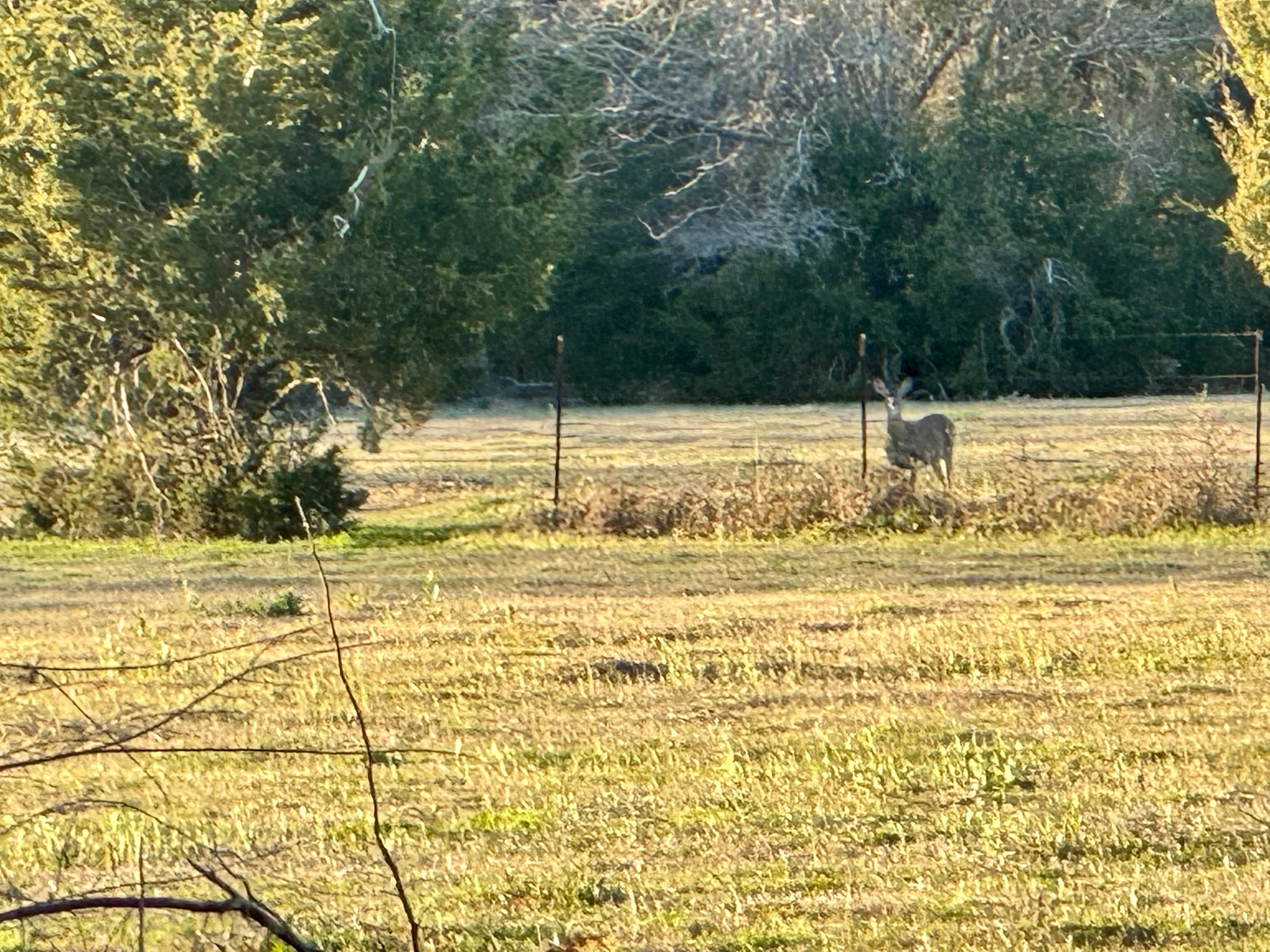 Pull Through RV Park, Fairfield, Texas