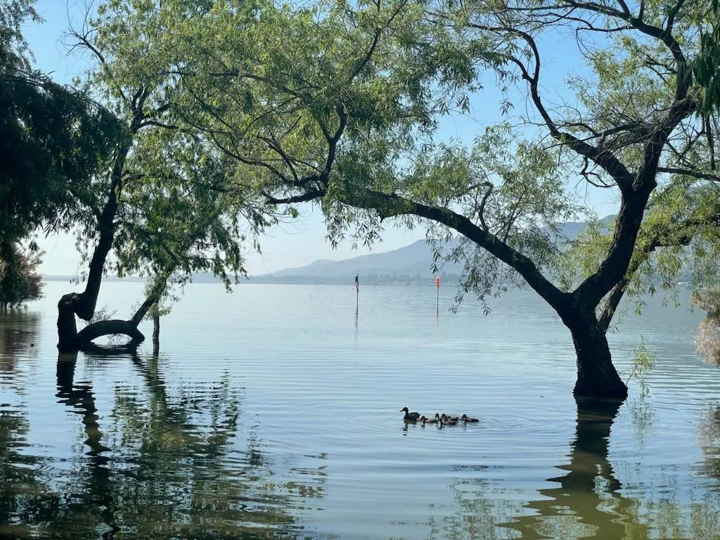 Emerald Bay RV Park, Lake Elsinore, California
