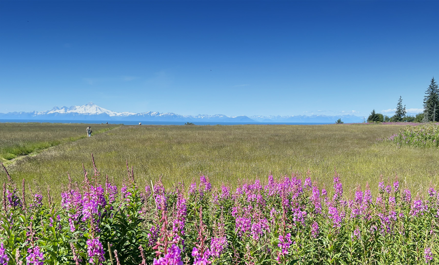Blue Spruce Campground, Ninilchik, Alaska
