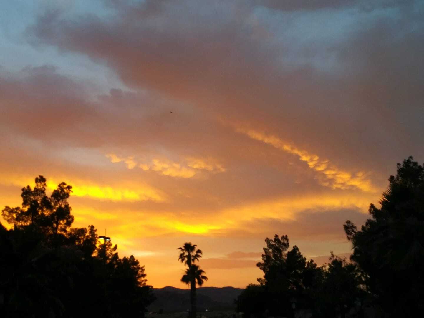 Nevada Treasure RV Resort