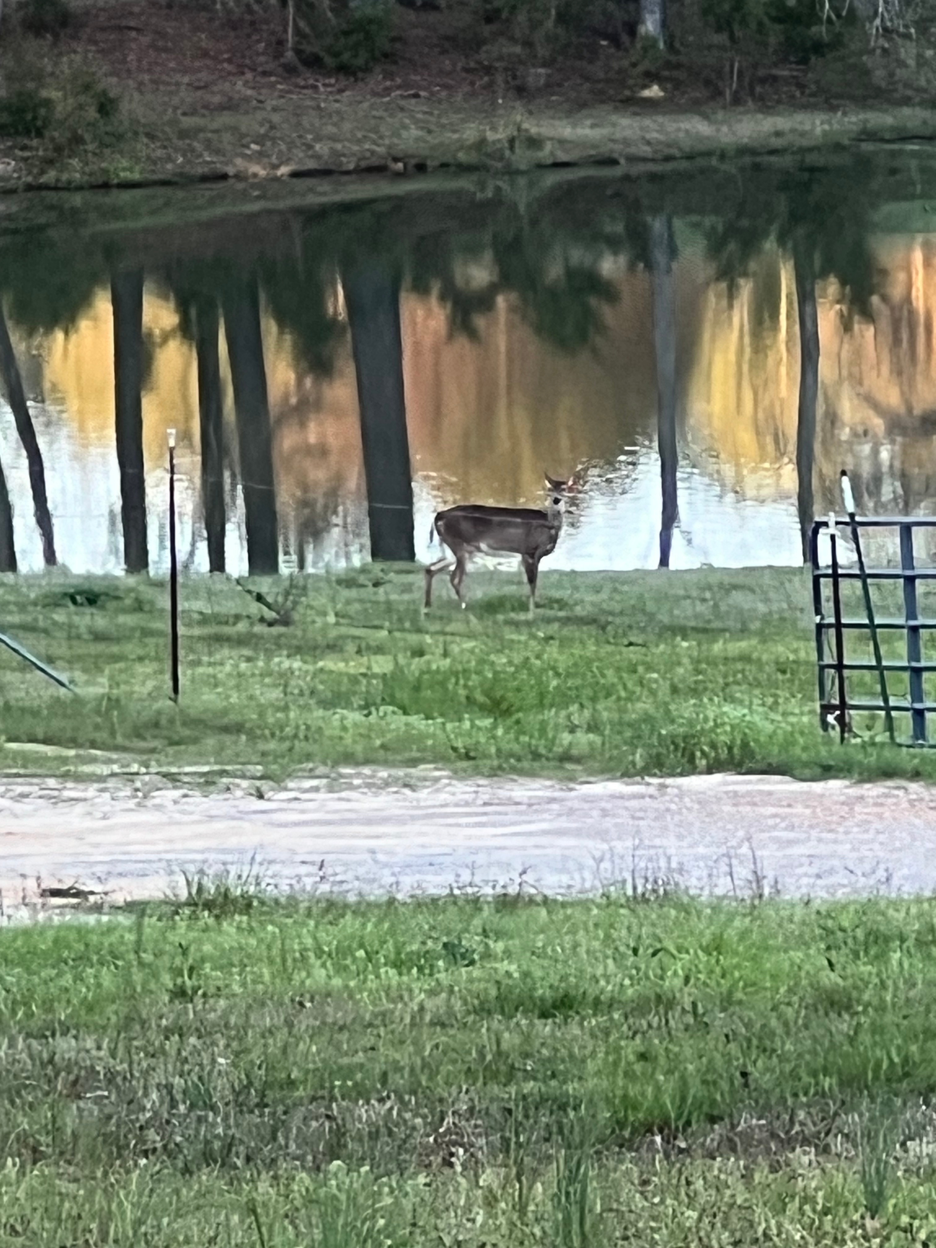 Lazy Acres RV Park, Fayette, Alabama