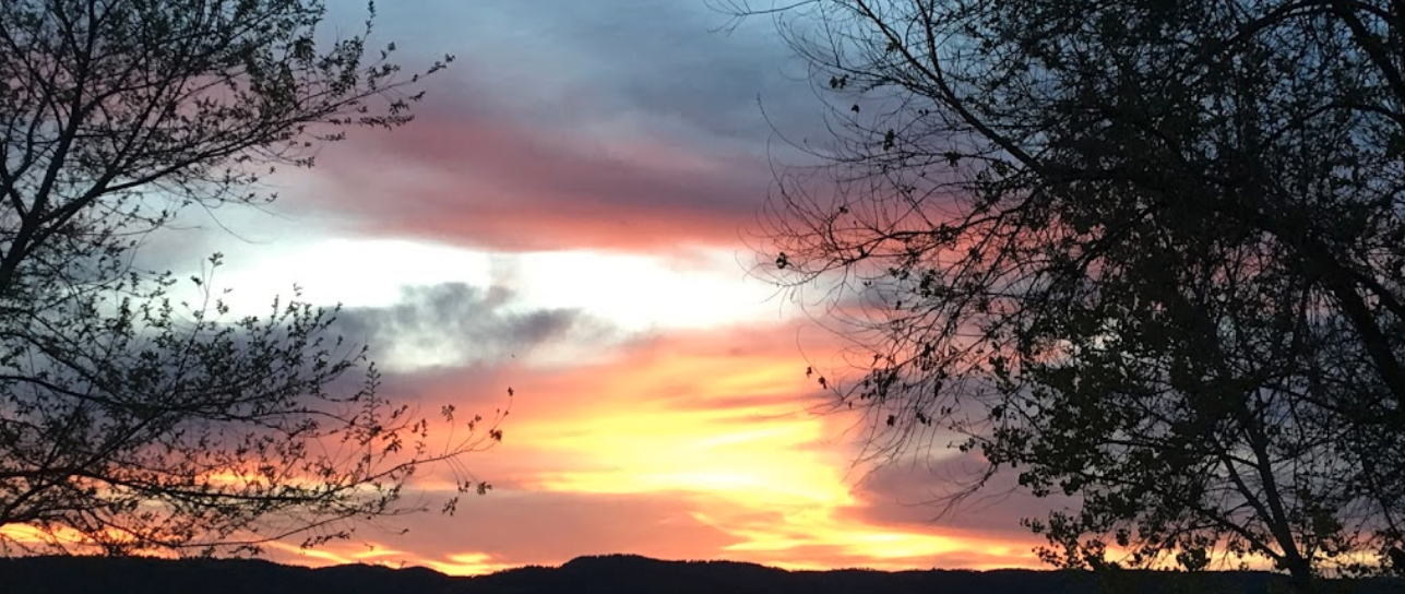 Sandy Bottom Campground