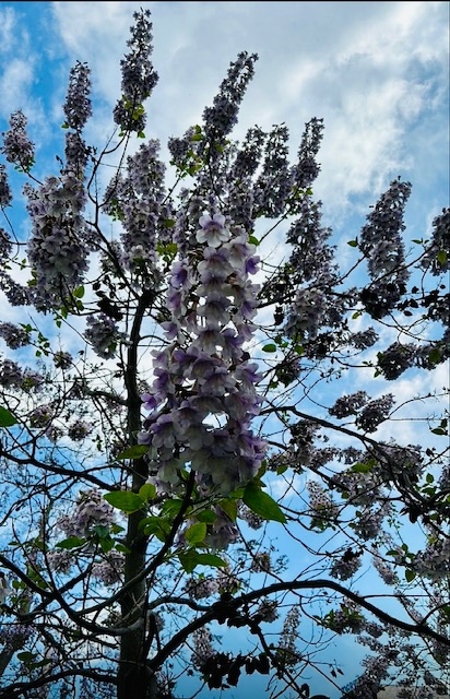 Uncle Jim's River Cove Campground, Sevierville, Tennessee