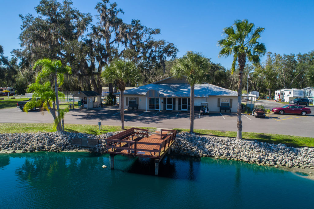 Big Tree (Age Restricted 55+)