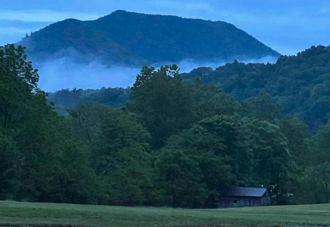 Old Mill Music & RV Park