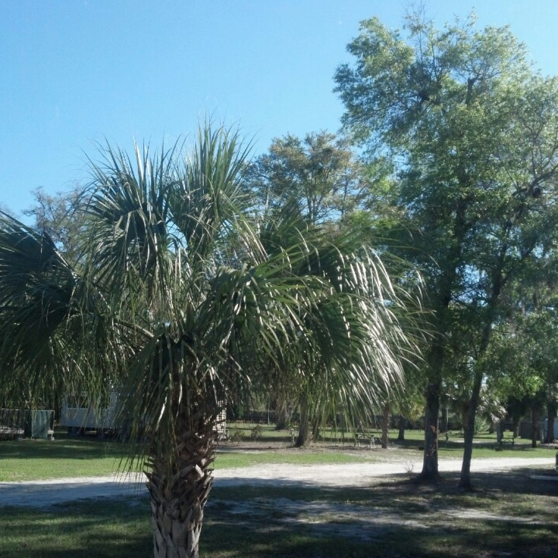 Shady Banks RV Resort