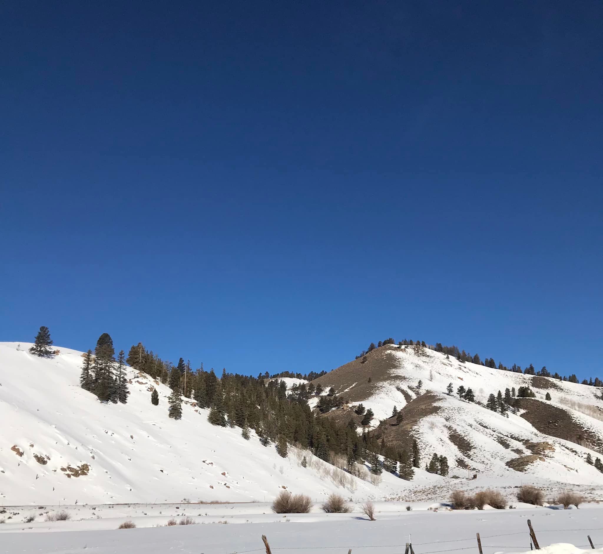 Tomichi Creek Trading Post