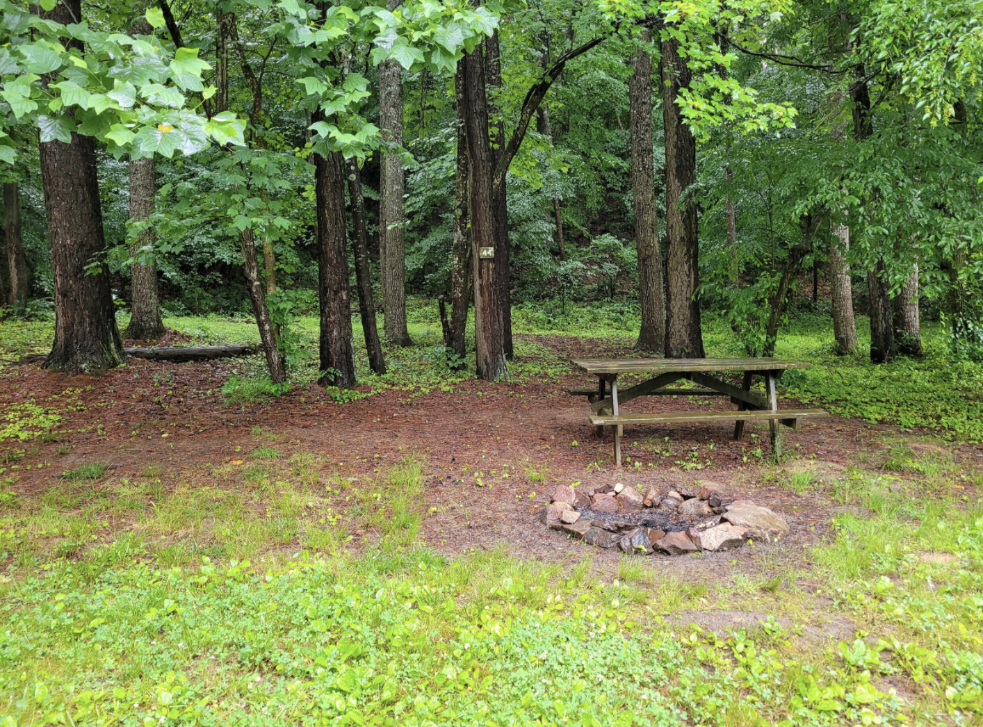 Rappahannock River Campground