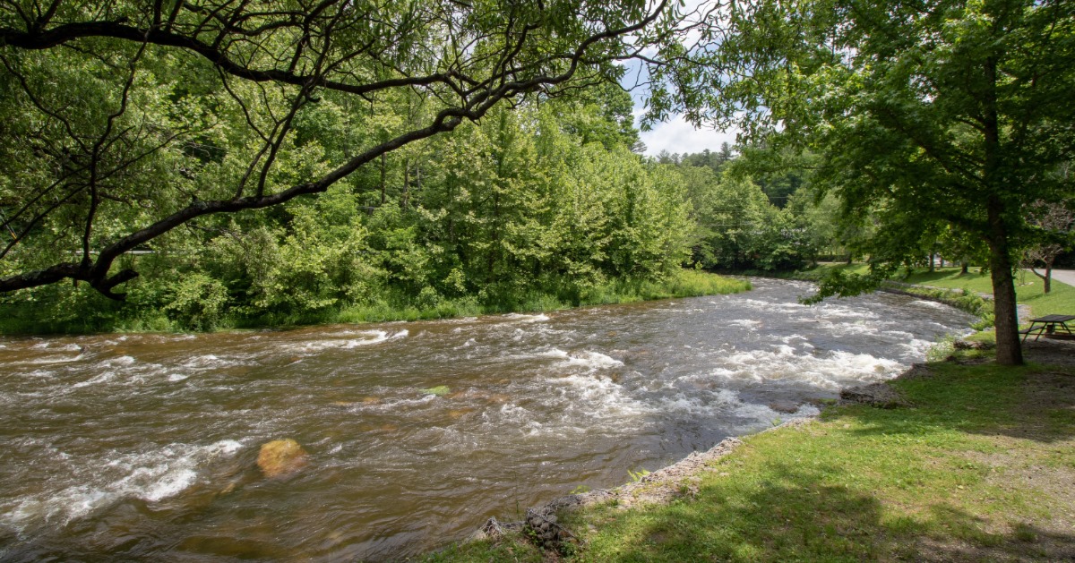 Yogi Bear's Jellystone Park™ Camp-Resort: Cherokee