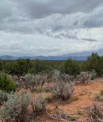 Ramble at Mesa Verde National Park, Mancos, Colorado