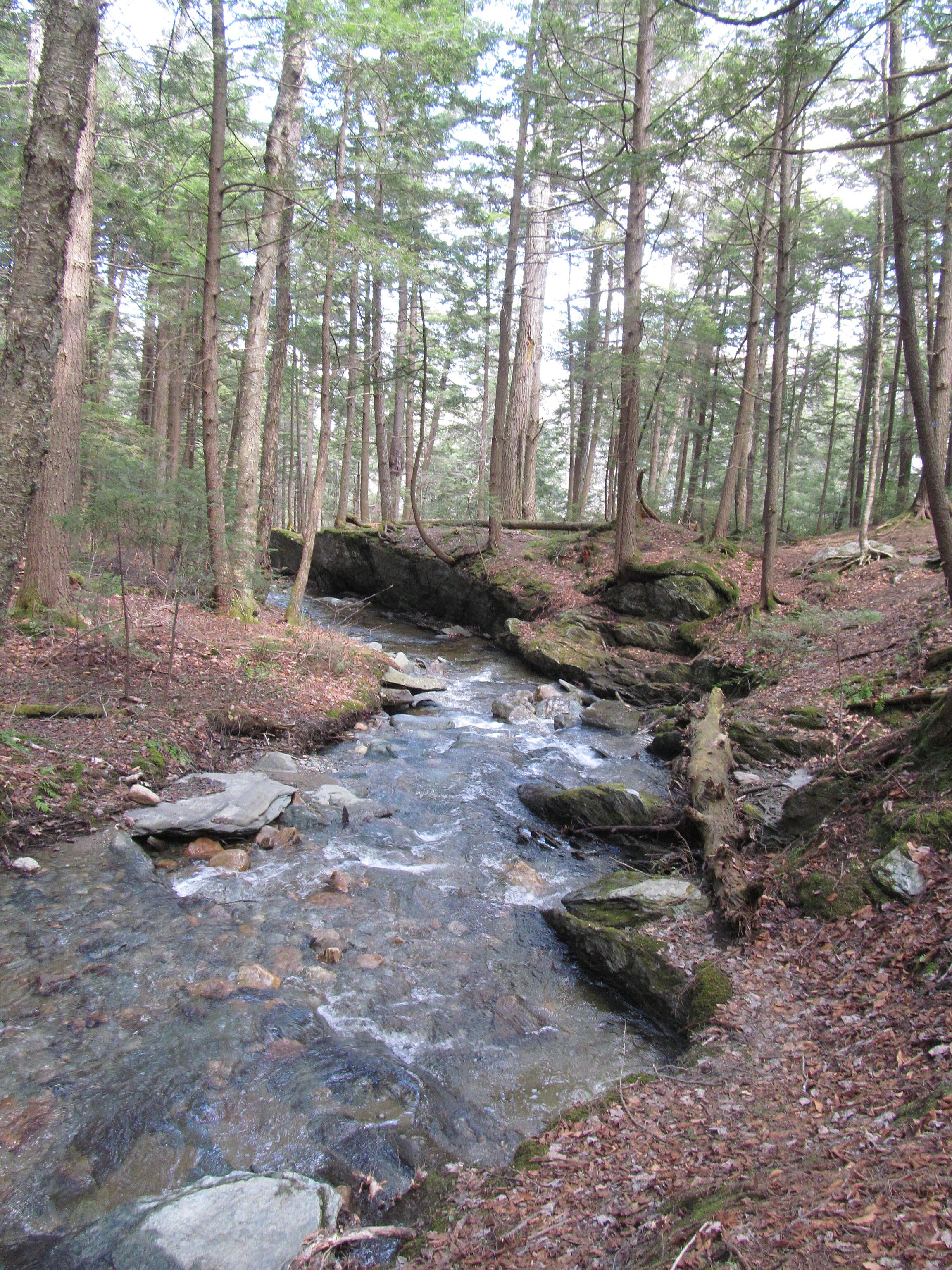 Savoy Mountain State Forest State Park