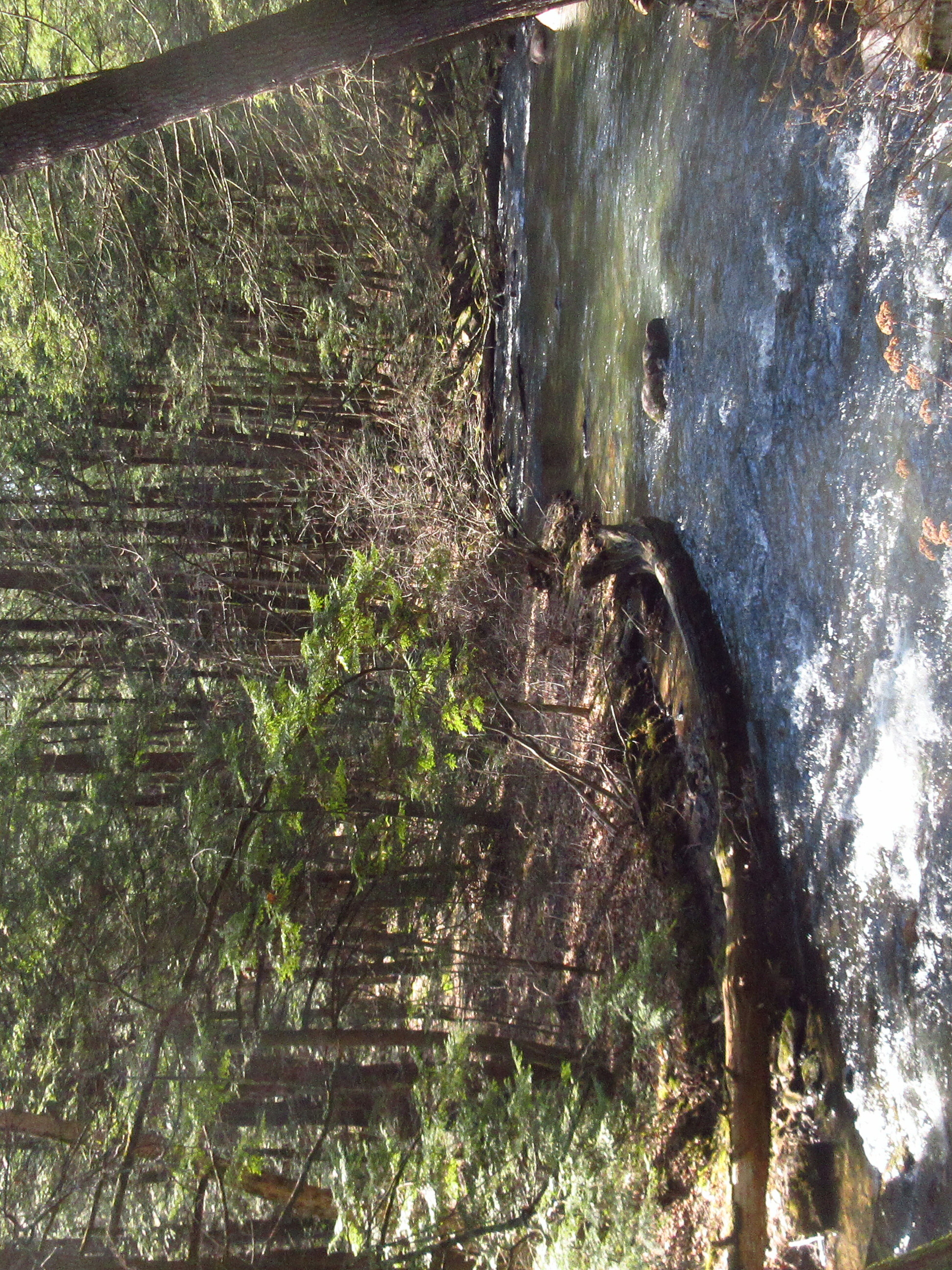 Reeds Gap State Park