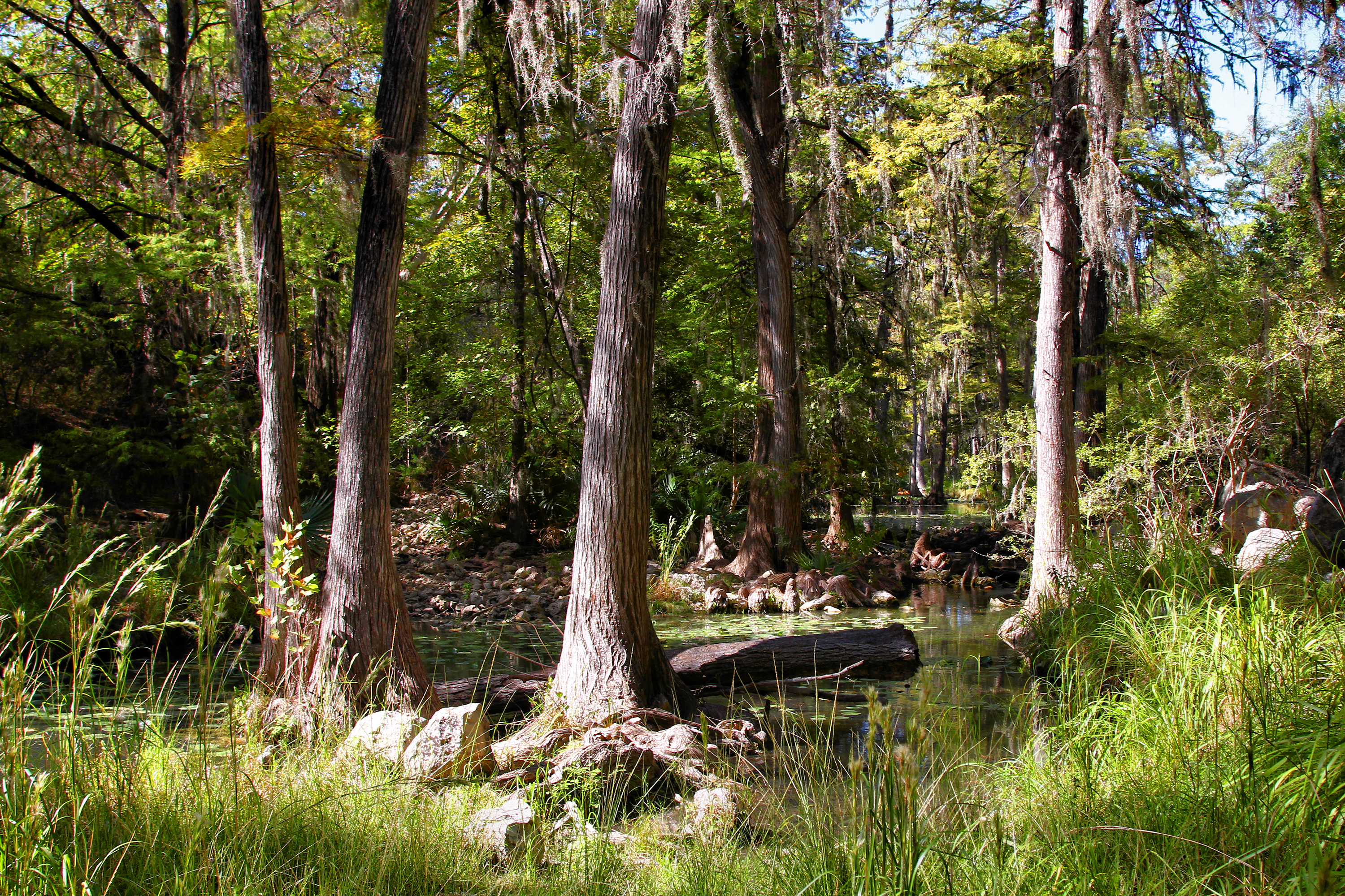 Honey Creek State Natural Area State Park