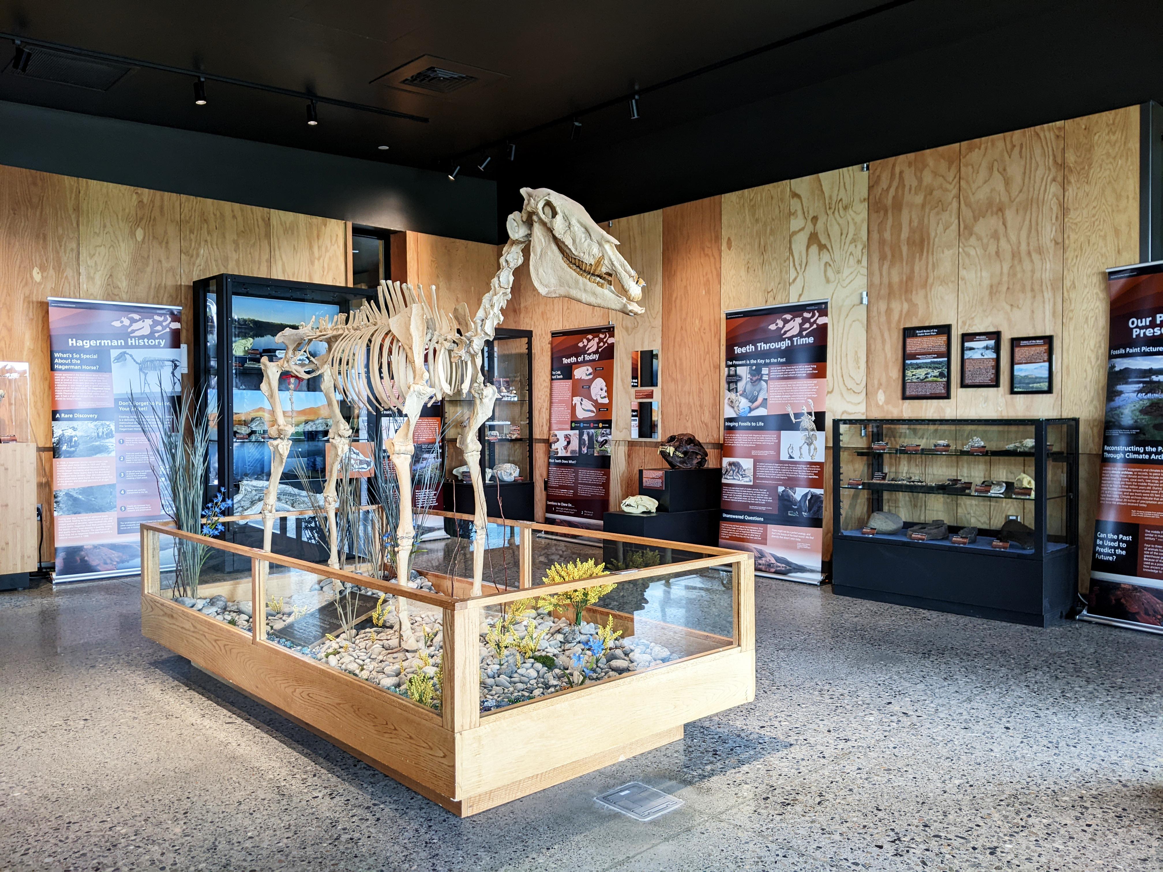 Hagerman Fossil Beds National Monument