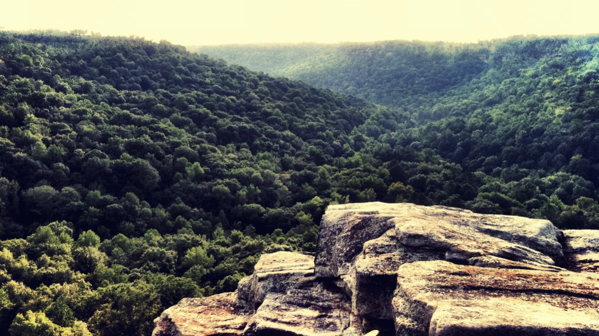 Buck's Pocket State Park