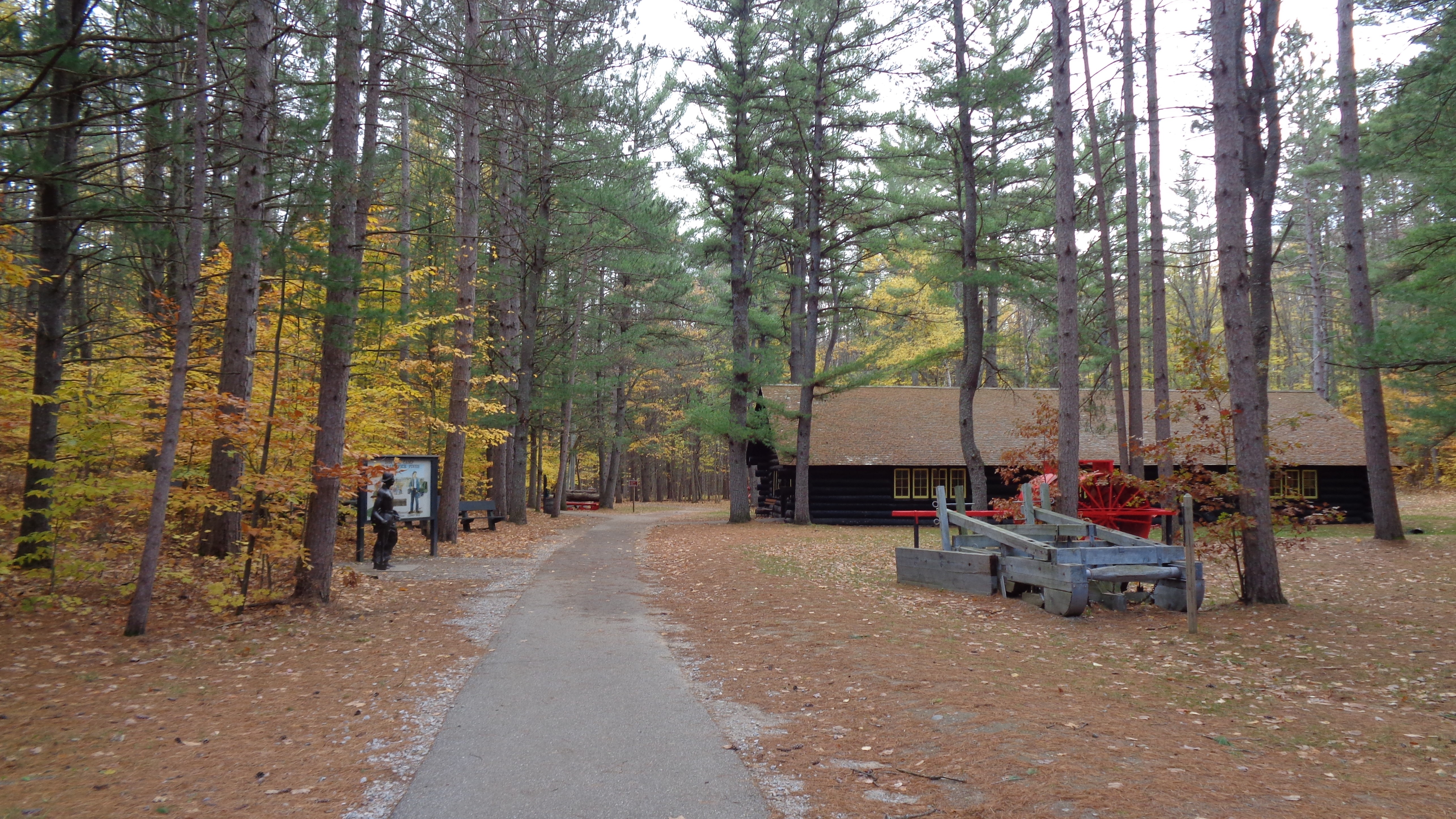 Hartwick Pines State Park