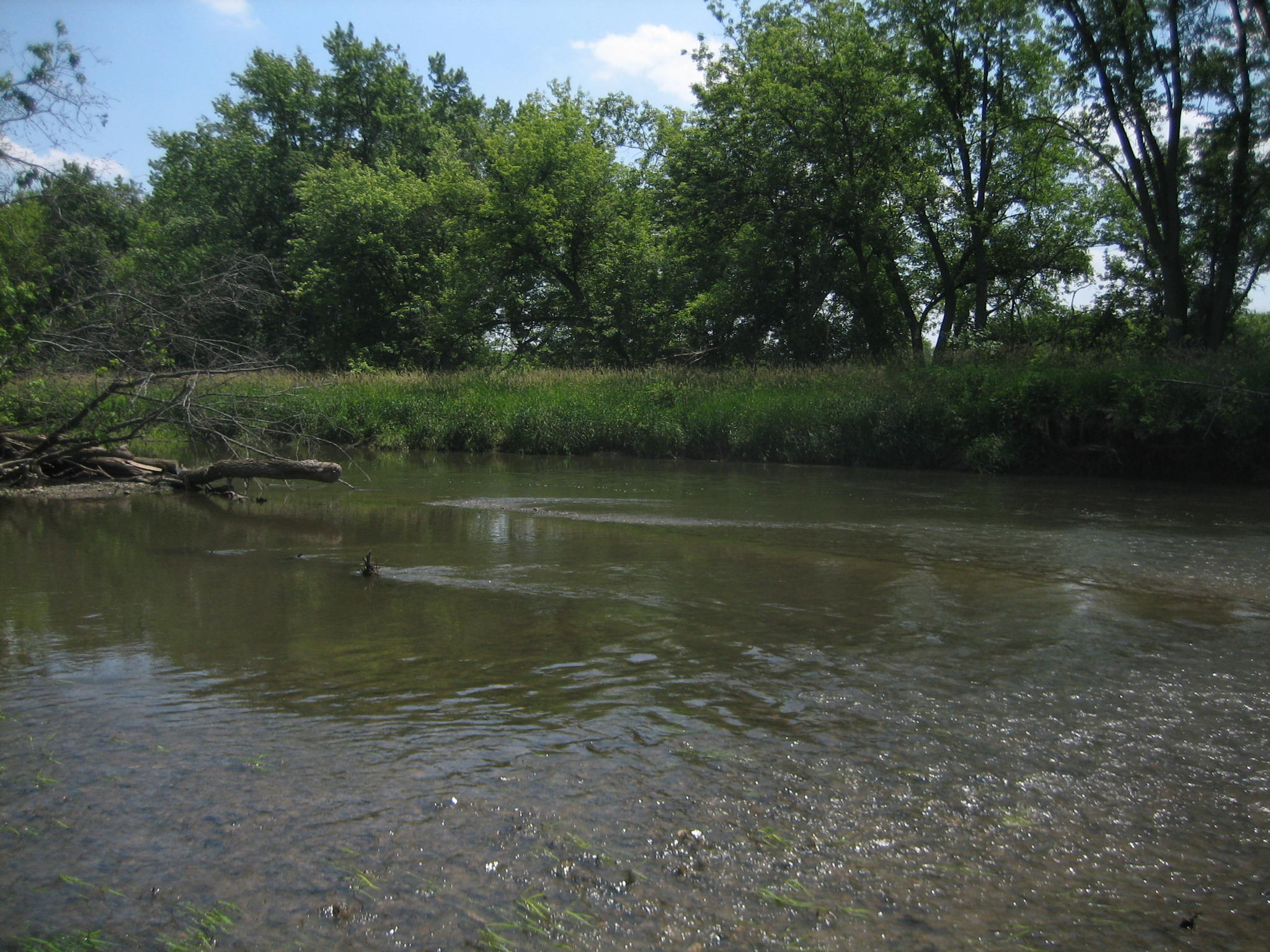 Kishwaukee River State Fish and Wildlife Area State Park