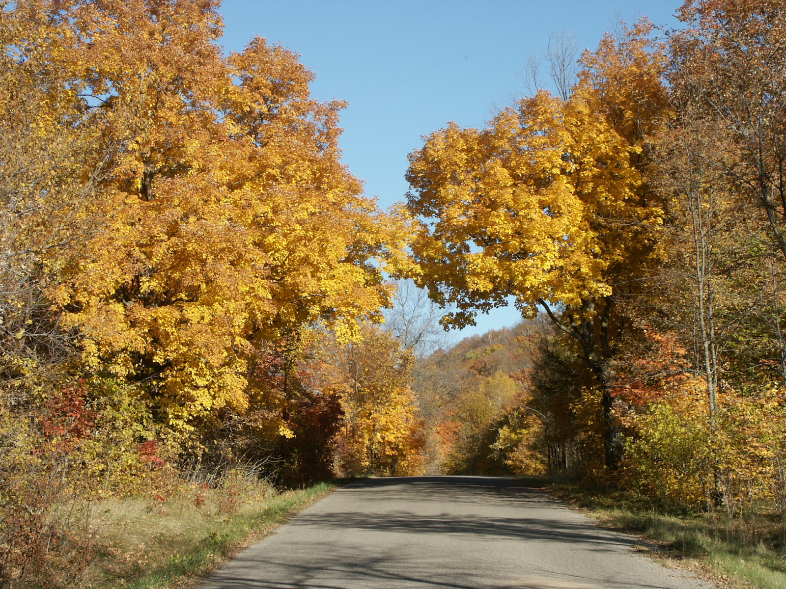Maplewood State Park