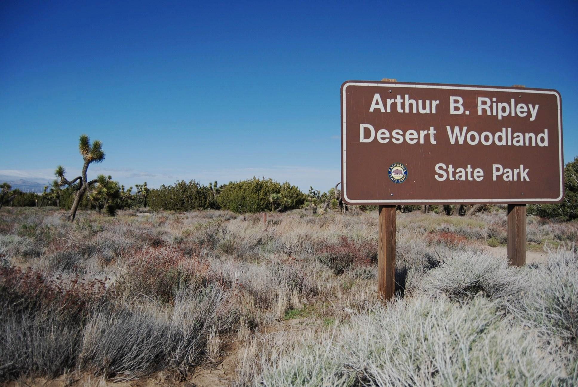 Arthur B. Ripley Desert Woodland State Park