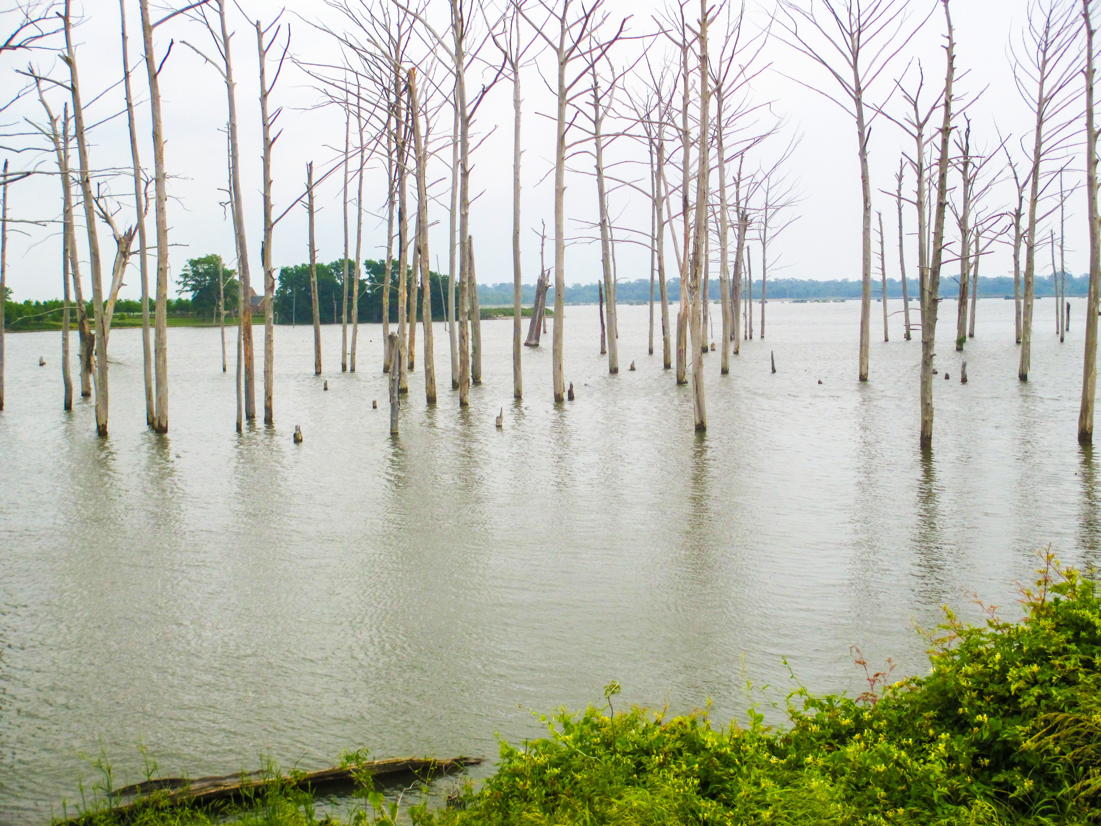 Poverty Point Reservoir State Park