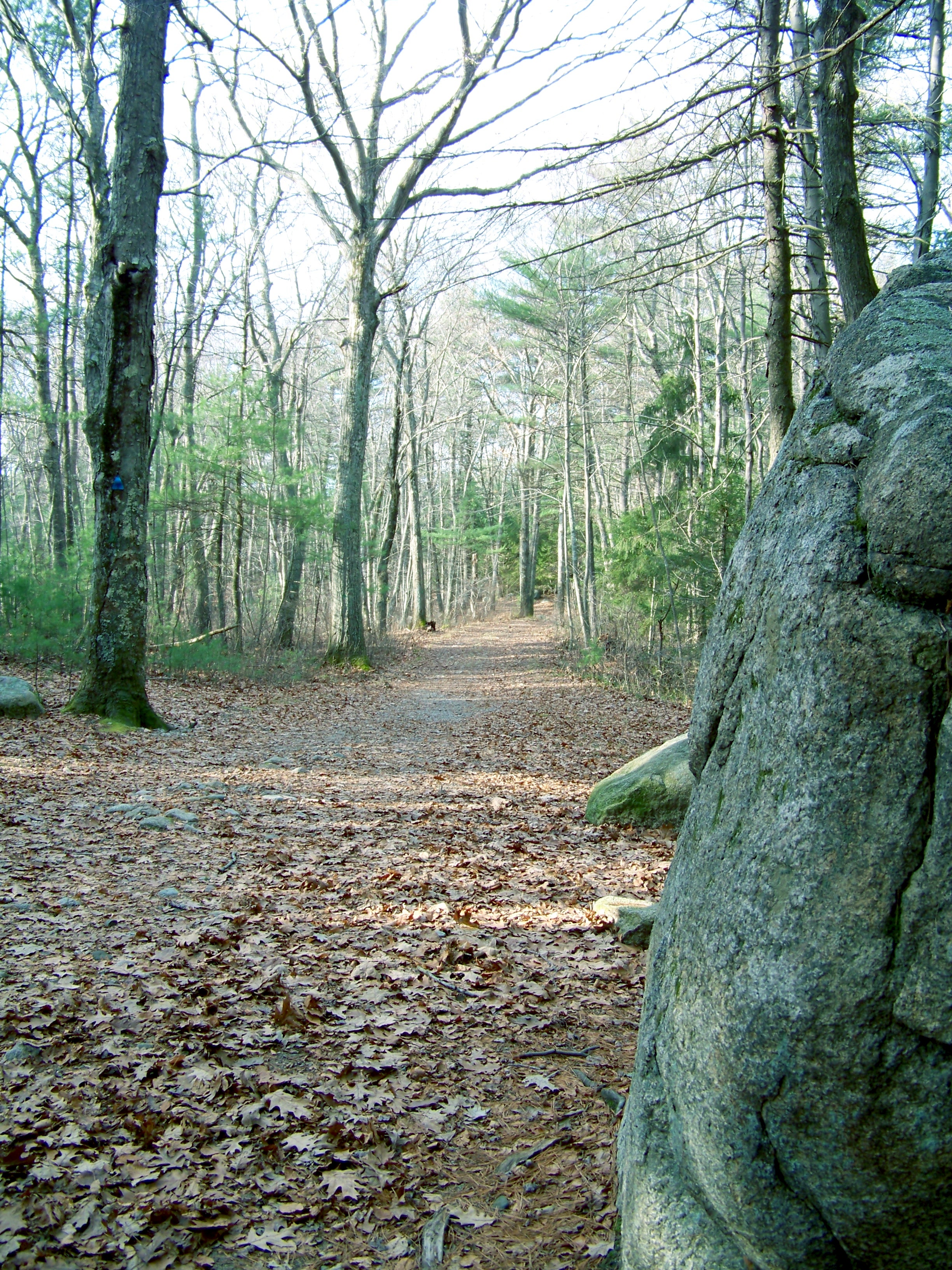 F. Gilbert Hills State Forest State Park