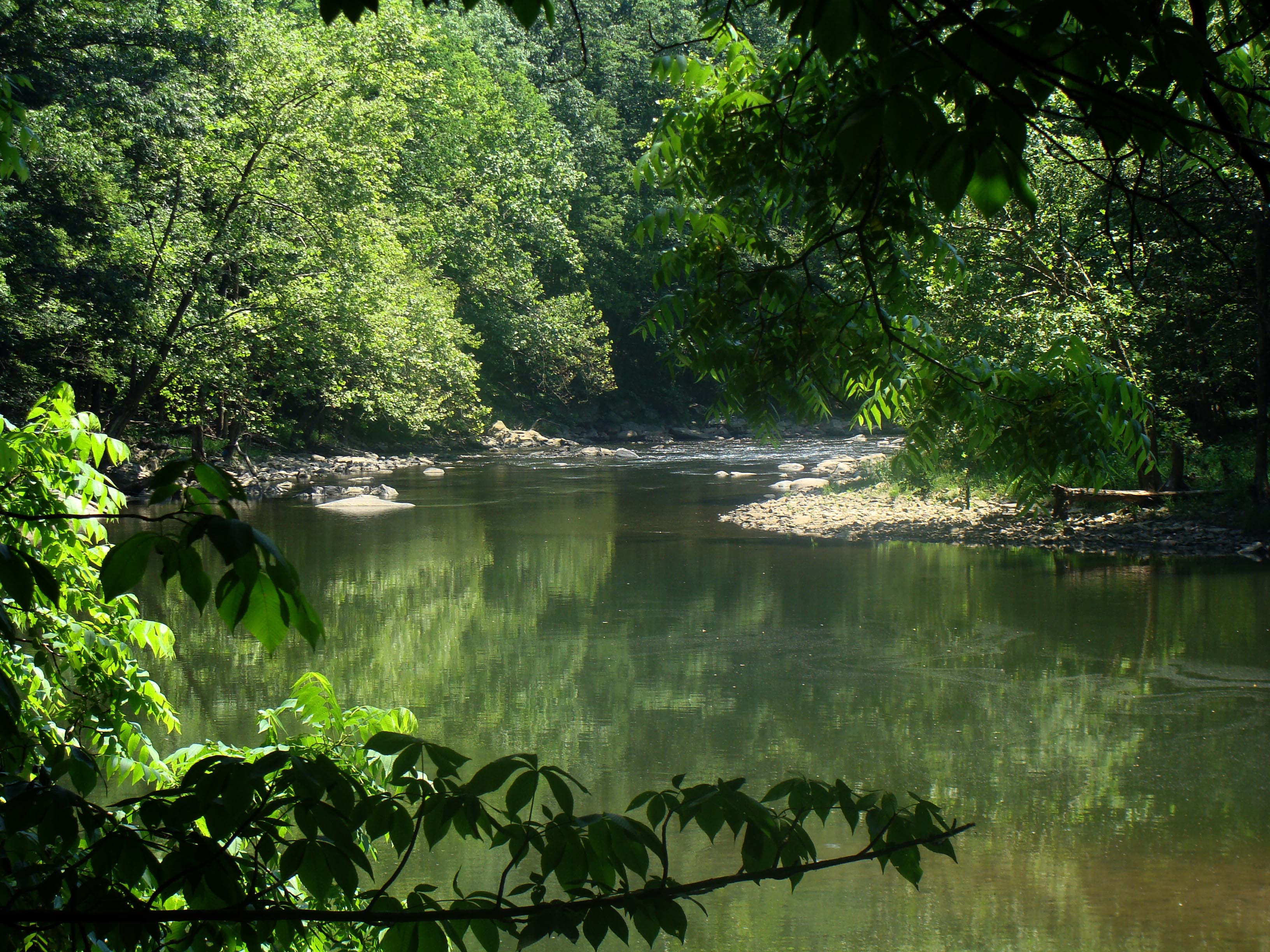 Bluestone National Scenic River