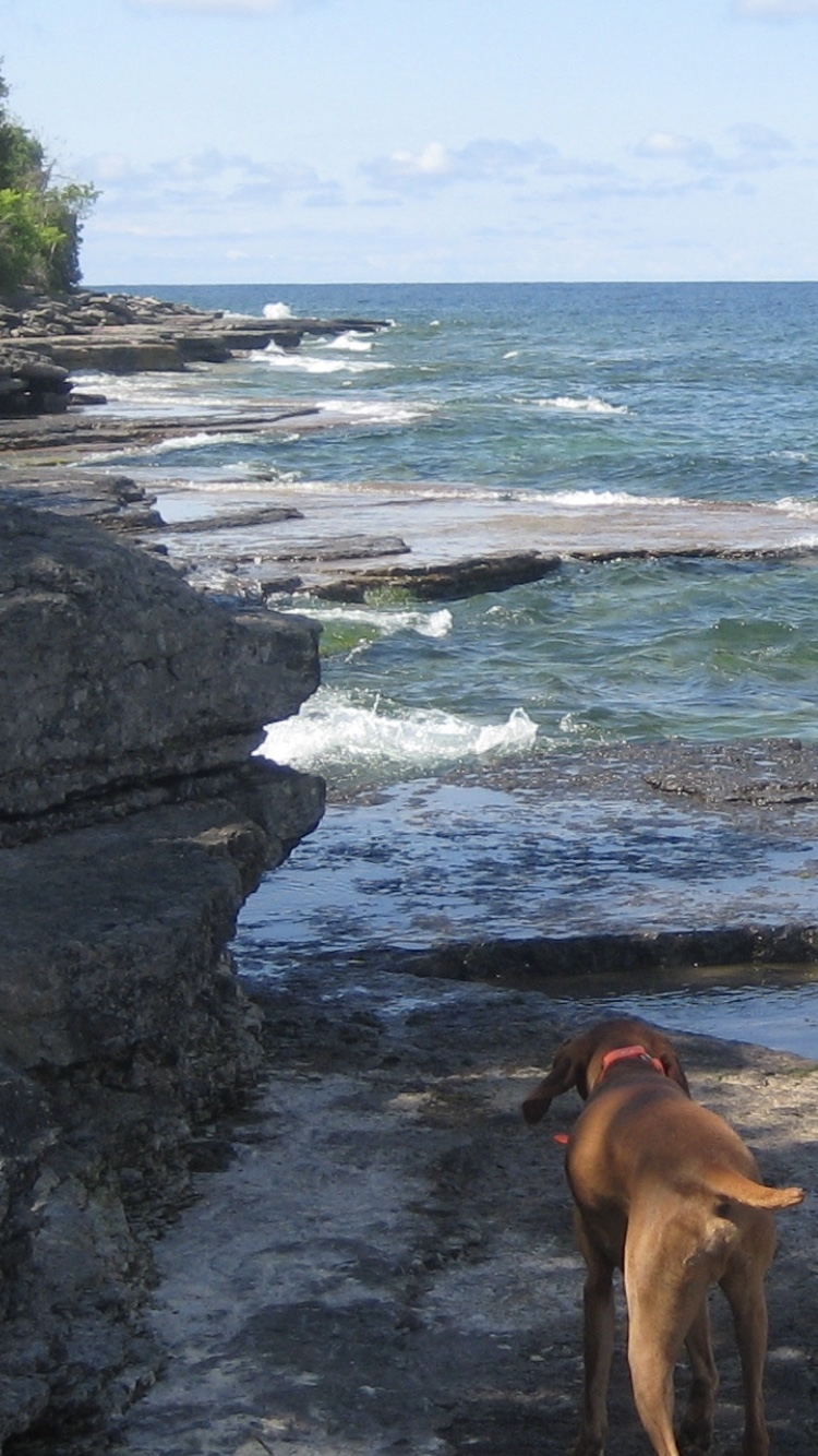 Robert G. Wehle State Park