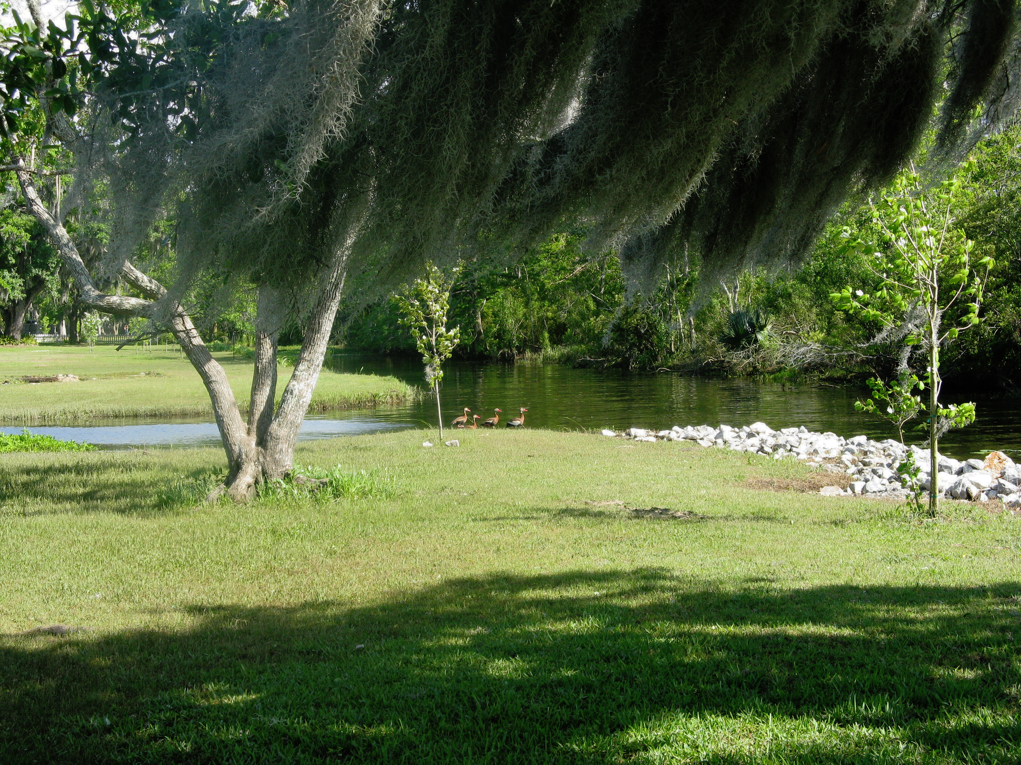 Fairview-Riverside State Park