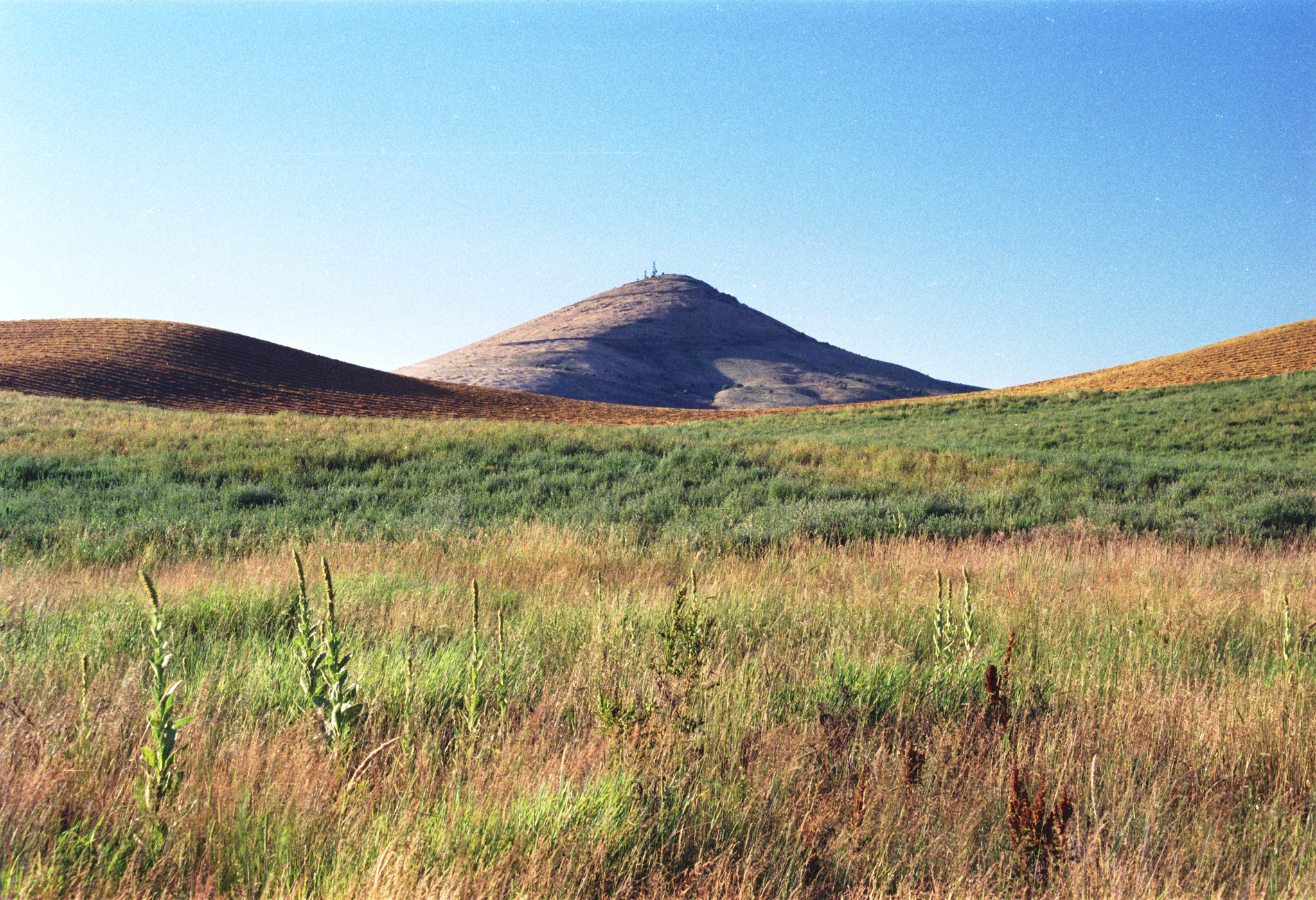 Steptoe Butte State Park