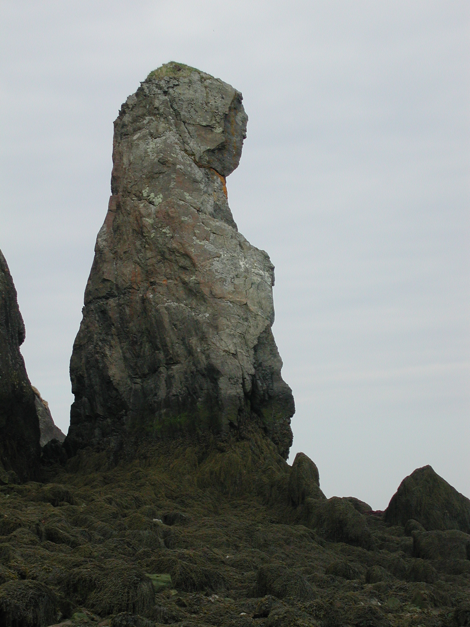 Roosevelt Campobello International Park