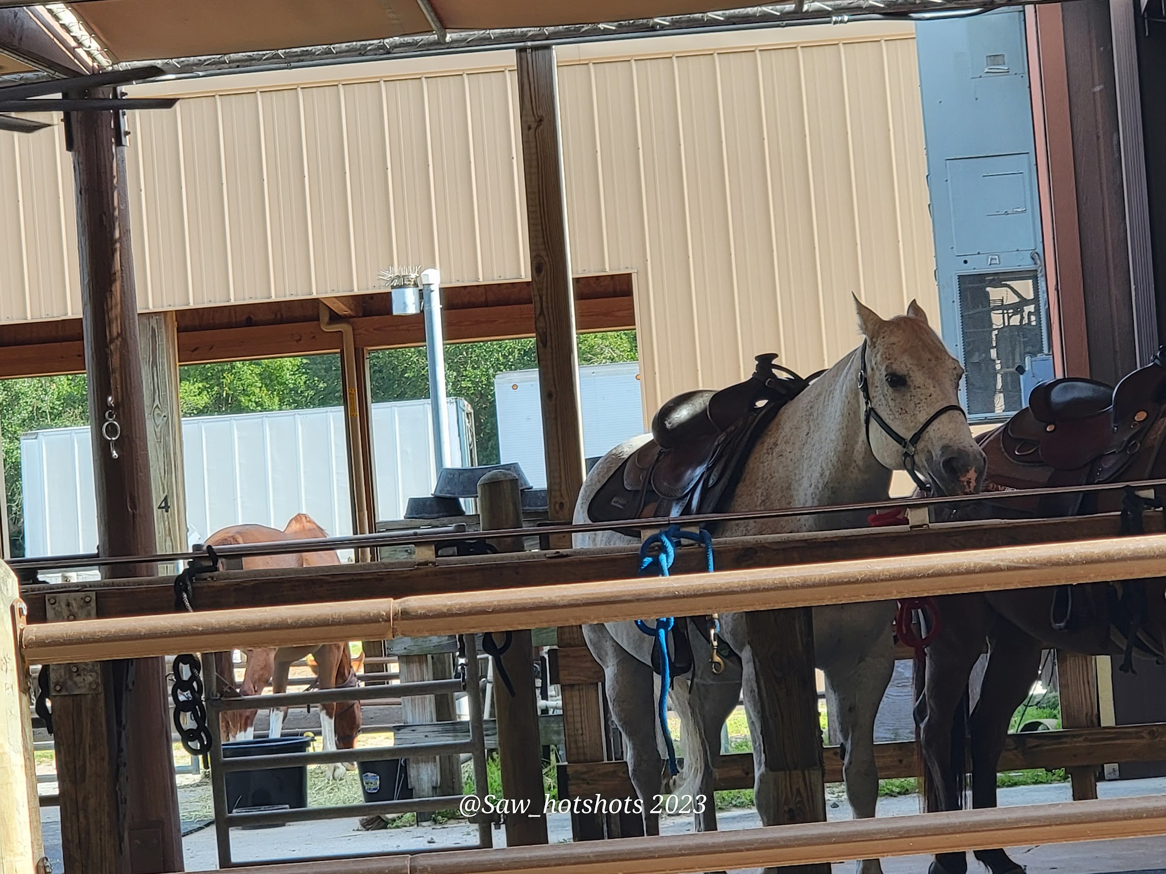 Bus Stop Outpost (Yellow / Orange / Purple Routes) - Disney's Fort Wilderness Resort & Campground