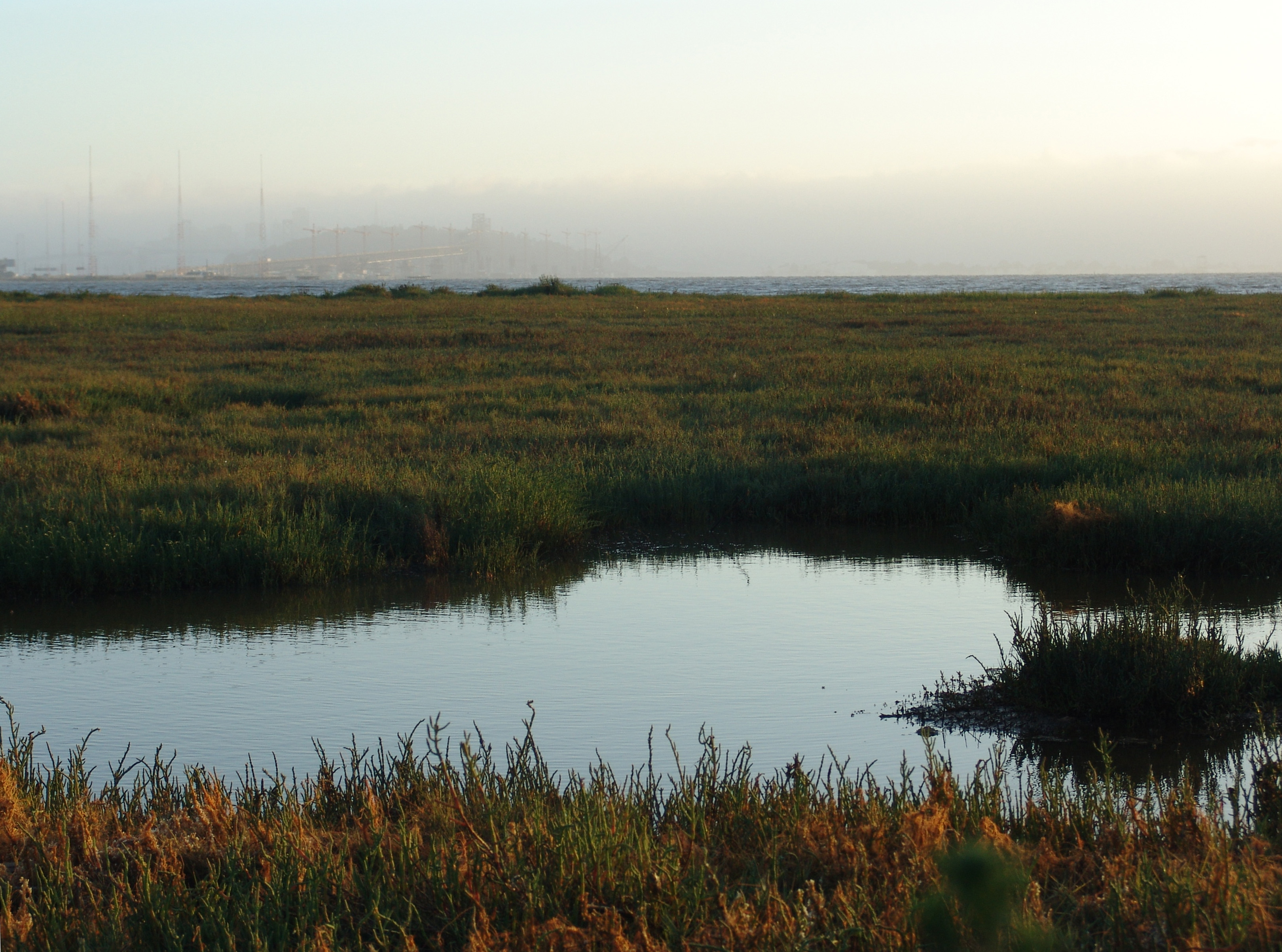 Emeryville Crescent State Marine Reserve State Park