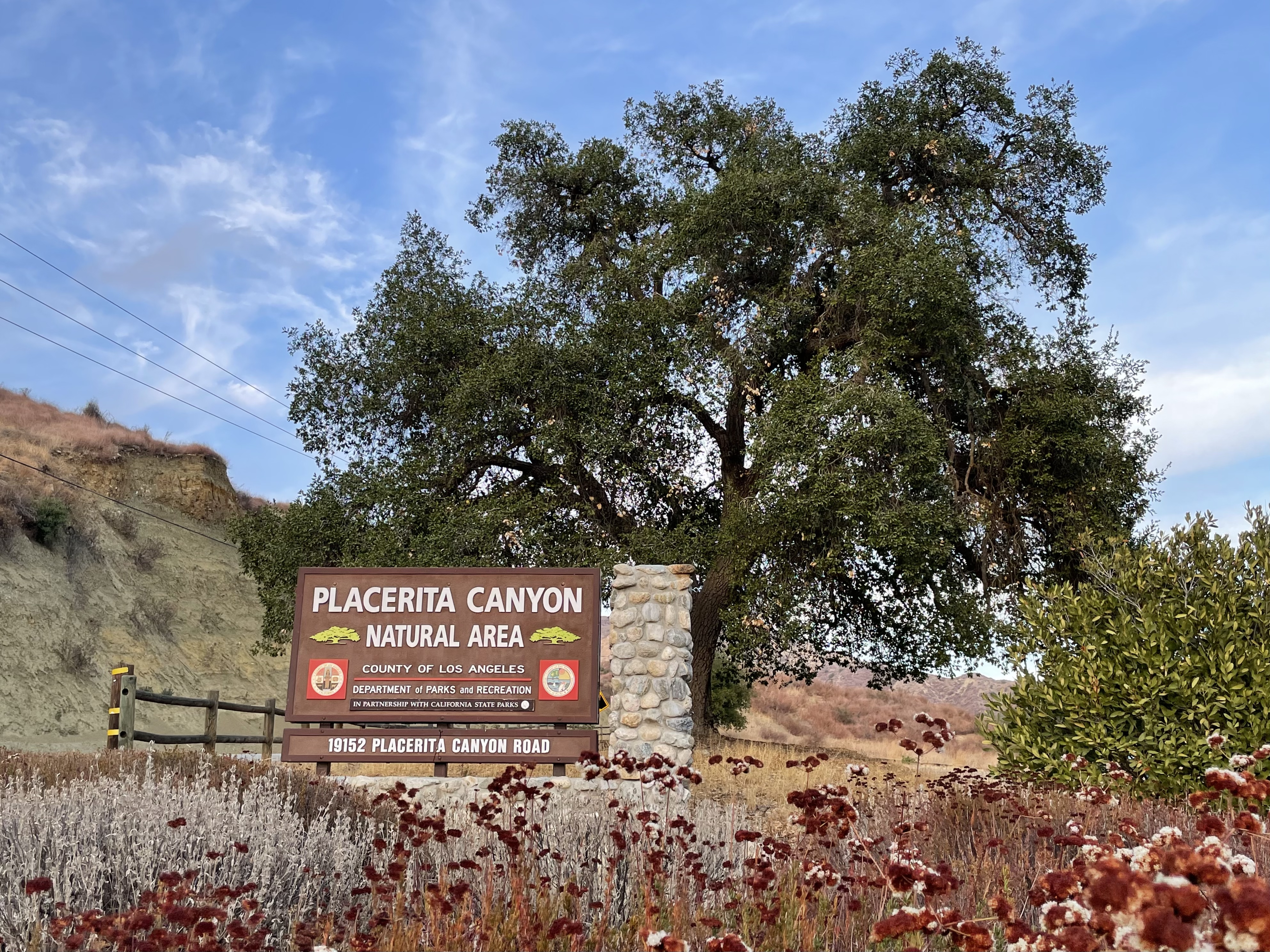 Placerita Canyon State Park