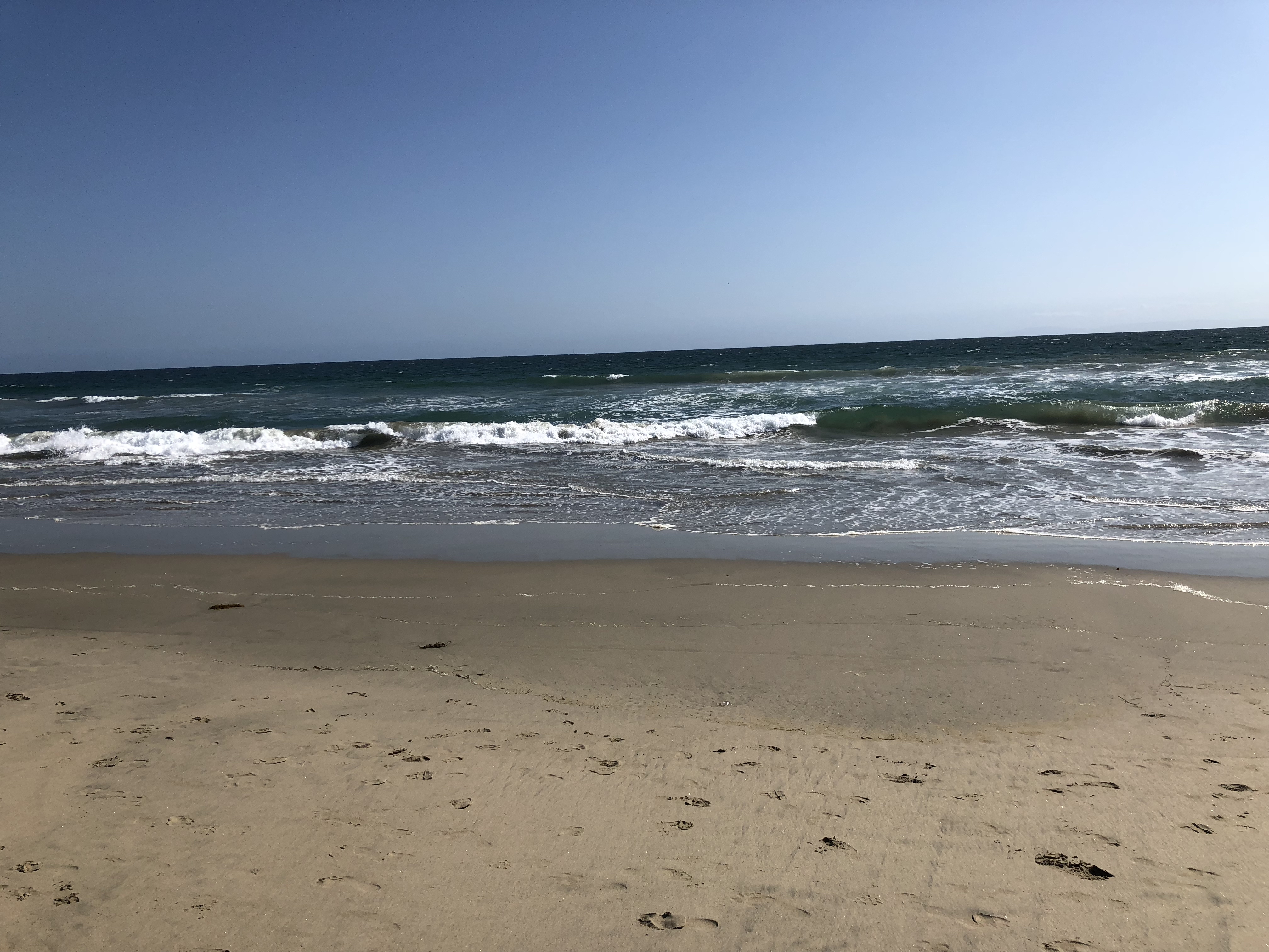 Huntington State Beach State Park