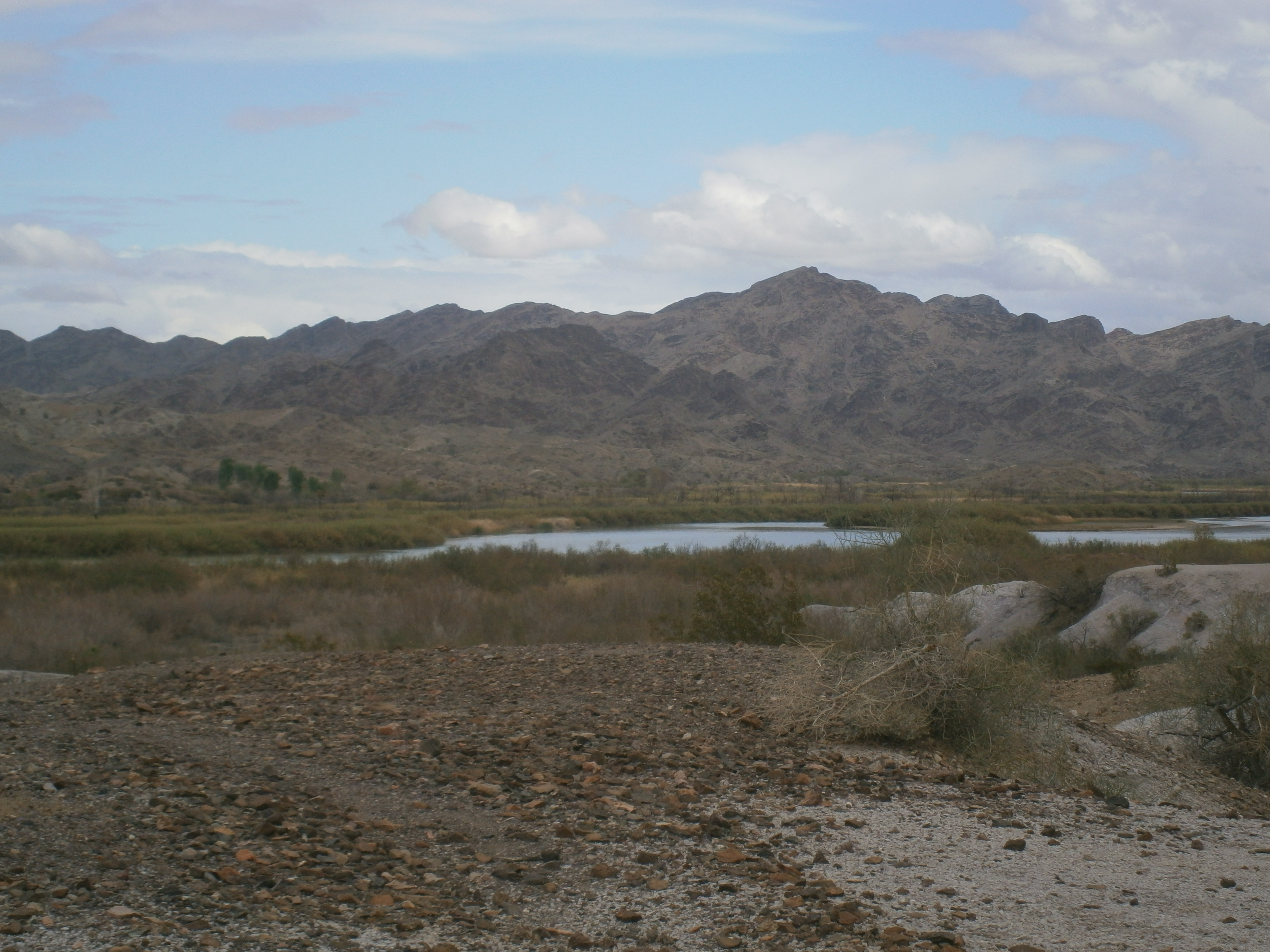 Picacho State Recreation Area State Park