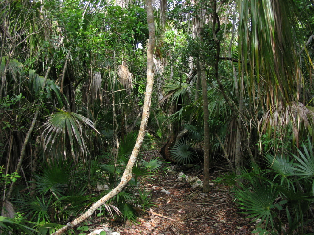 Curry Hammock State Park