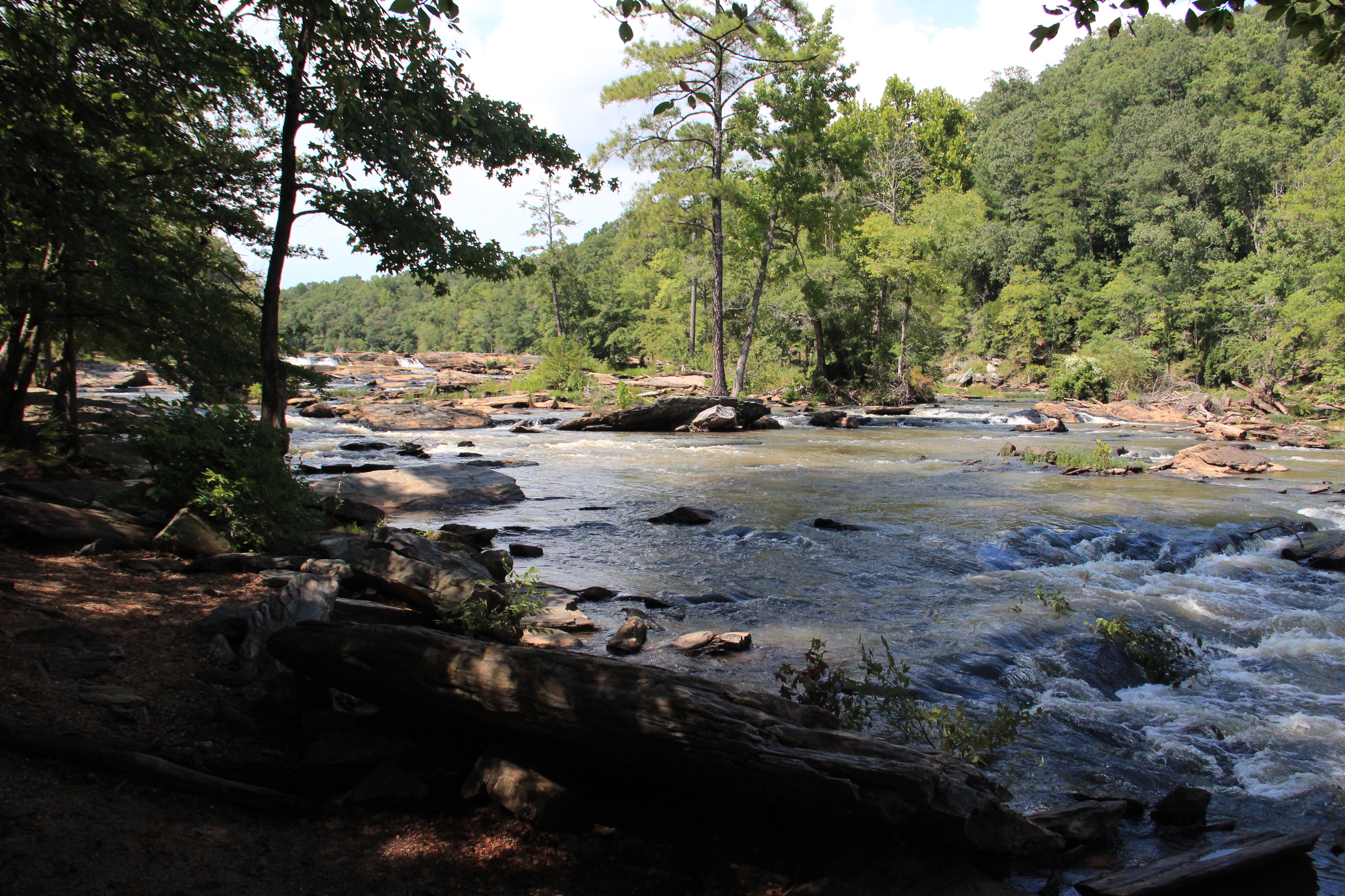 Sweetwater Creek State Park