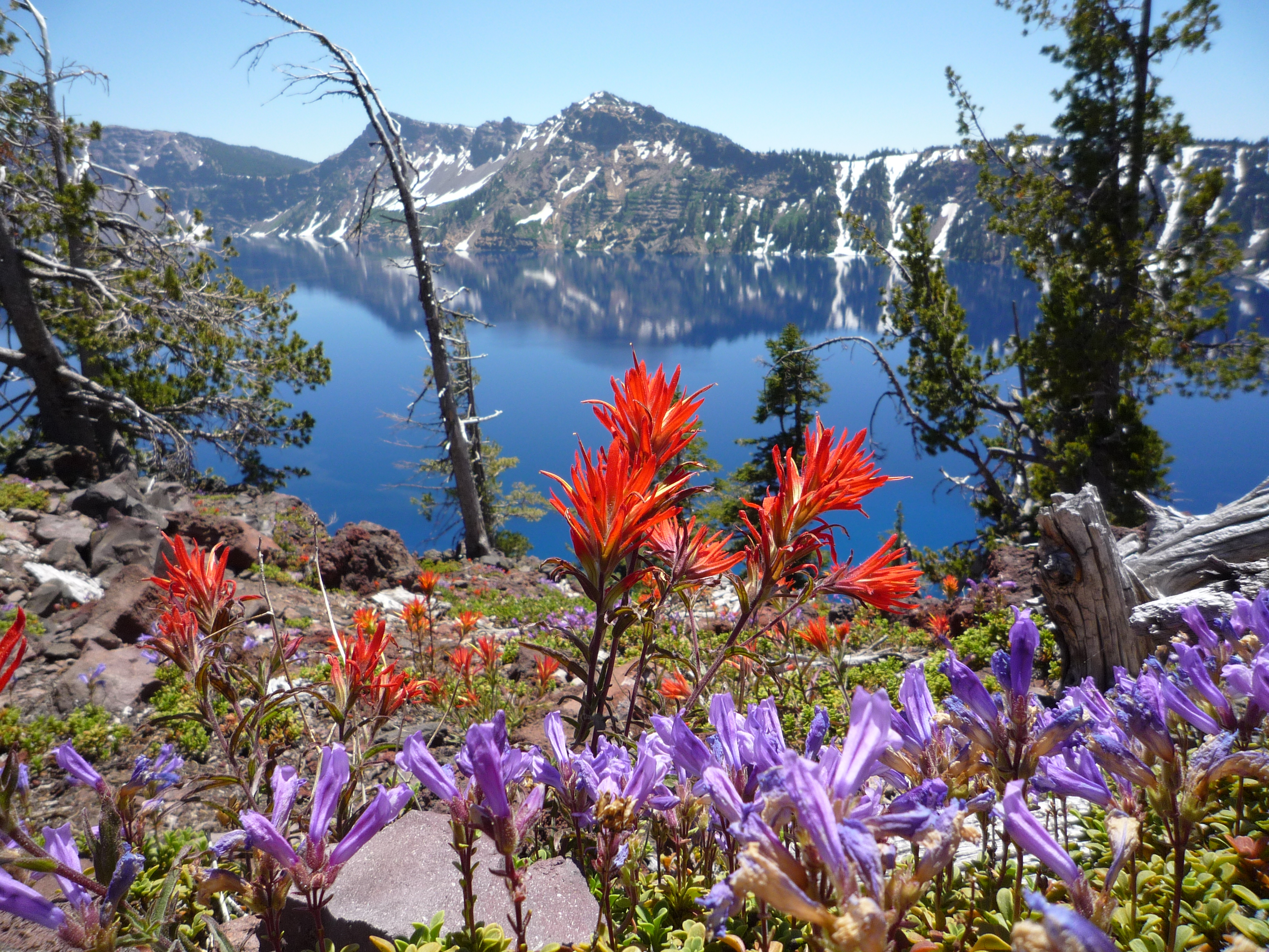 Crater Lake National Park