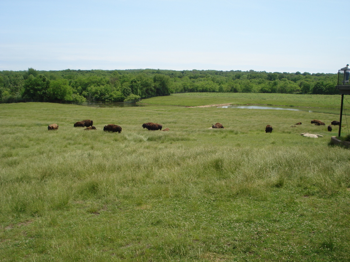 Wildlife Prairie Park State Park