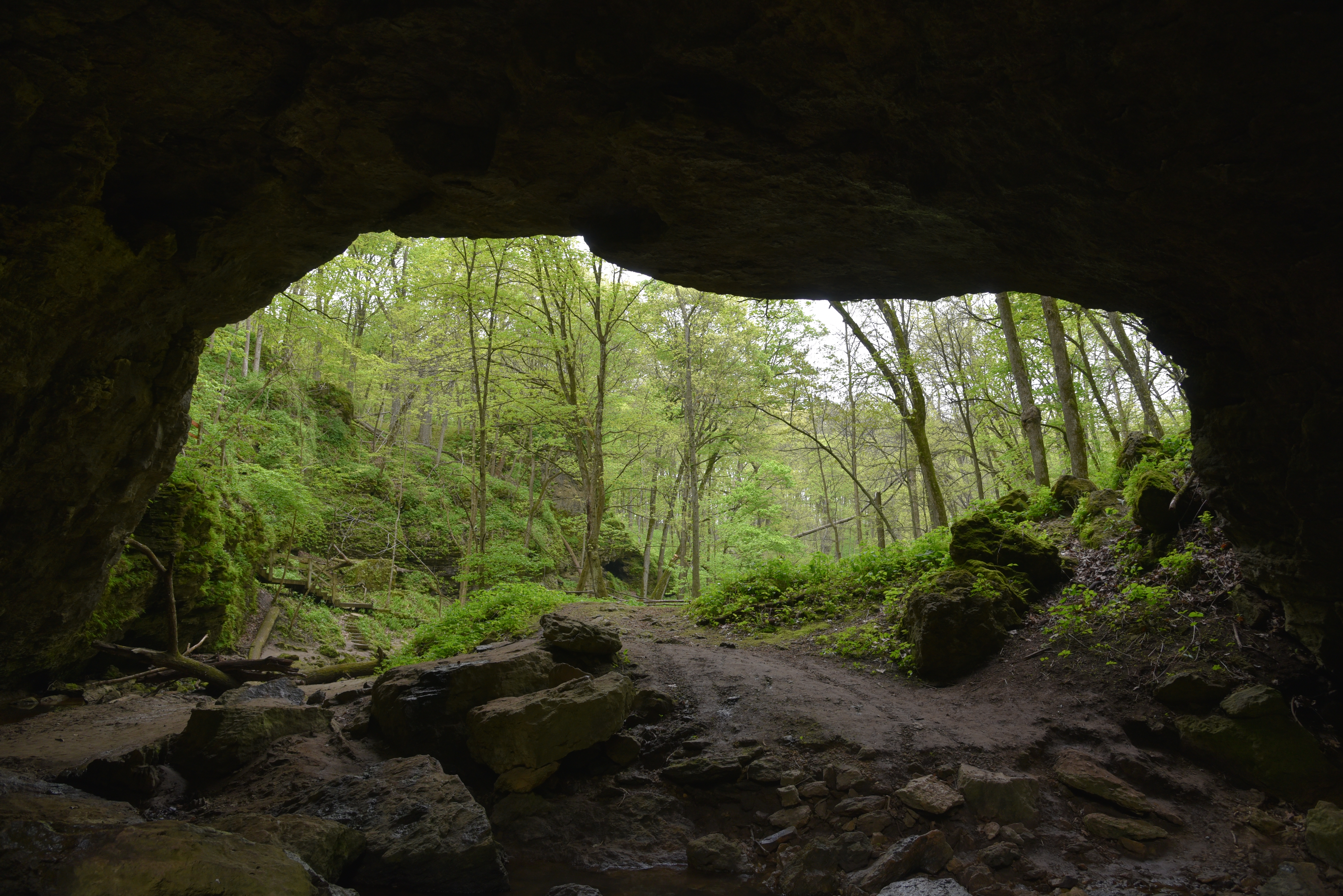 Maquoketa Caves State Park