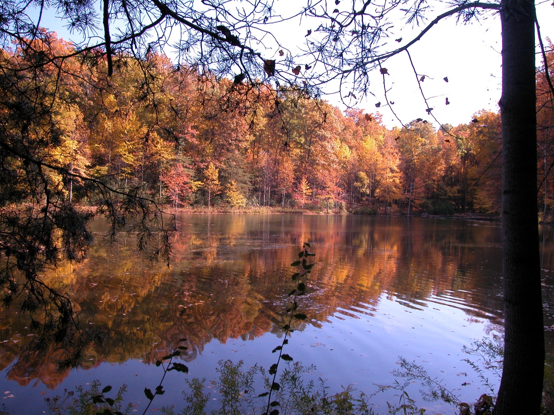 Seneca Creek State Park
