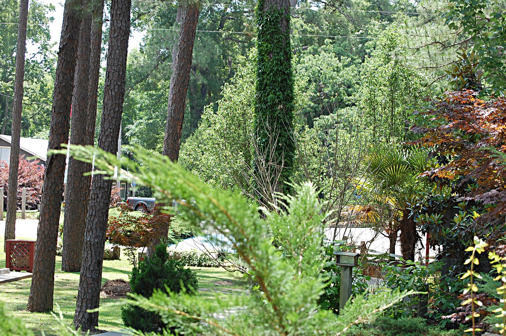 George L. Smith State Park