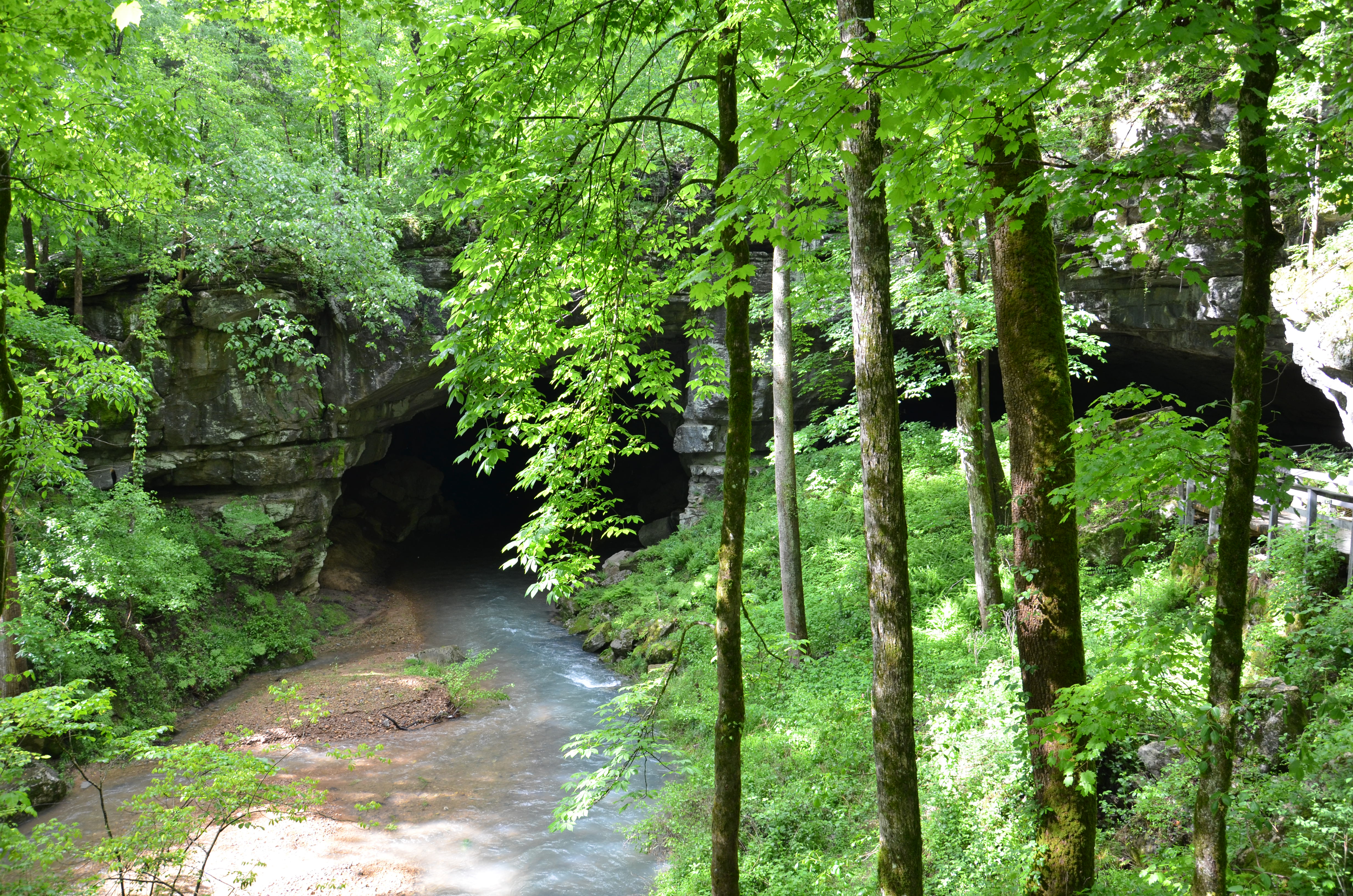 Russell Cave National Monument